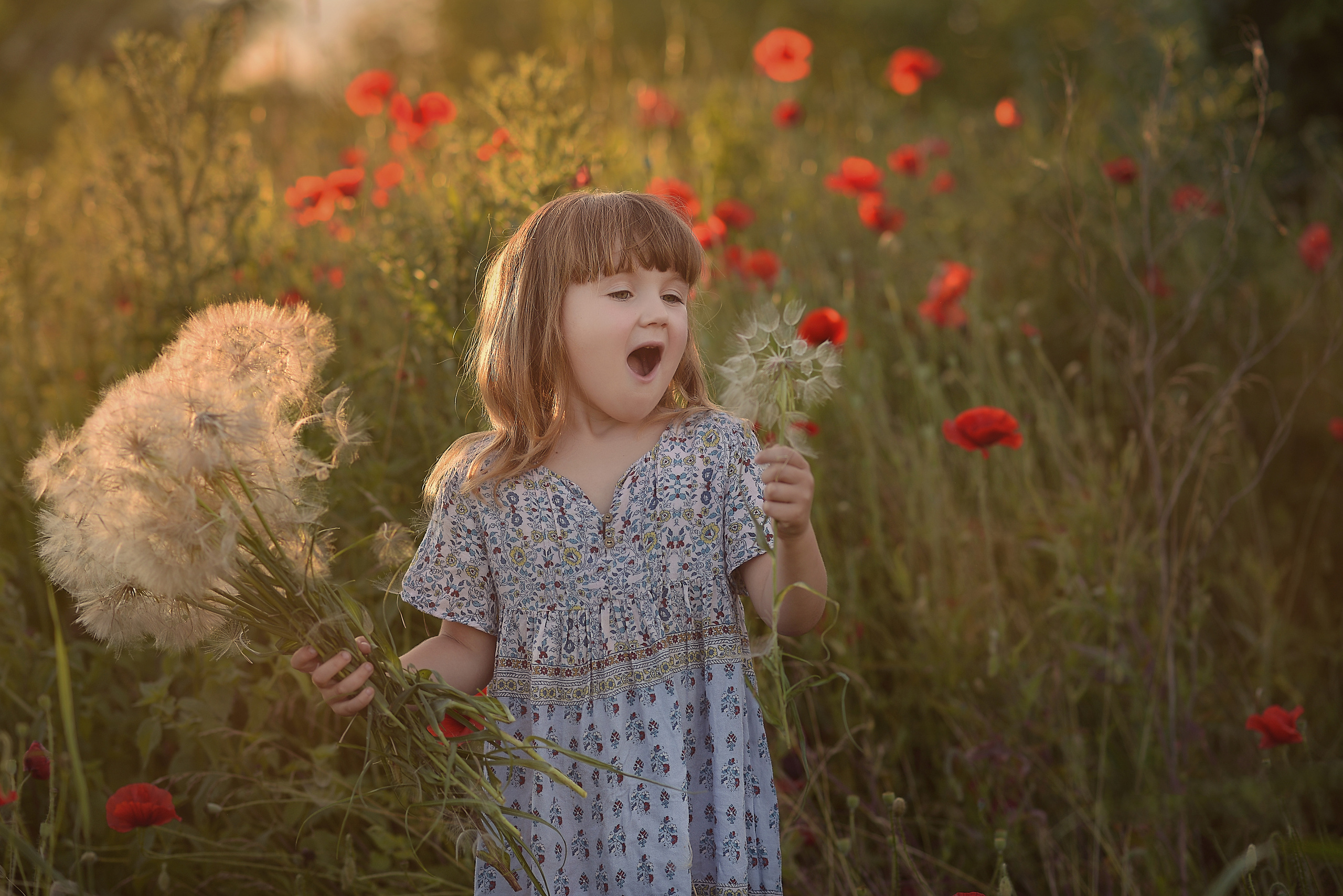 Маки. Фотограф Натали Кошевая _ Днепр, Подгородное