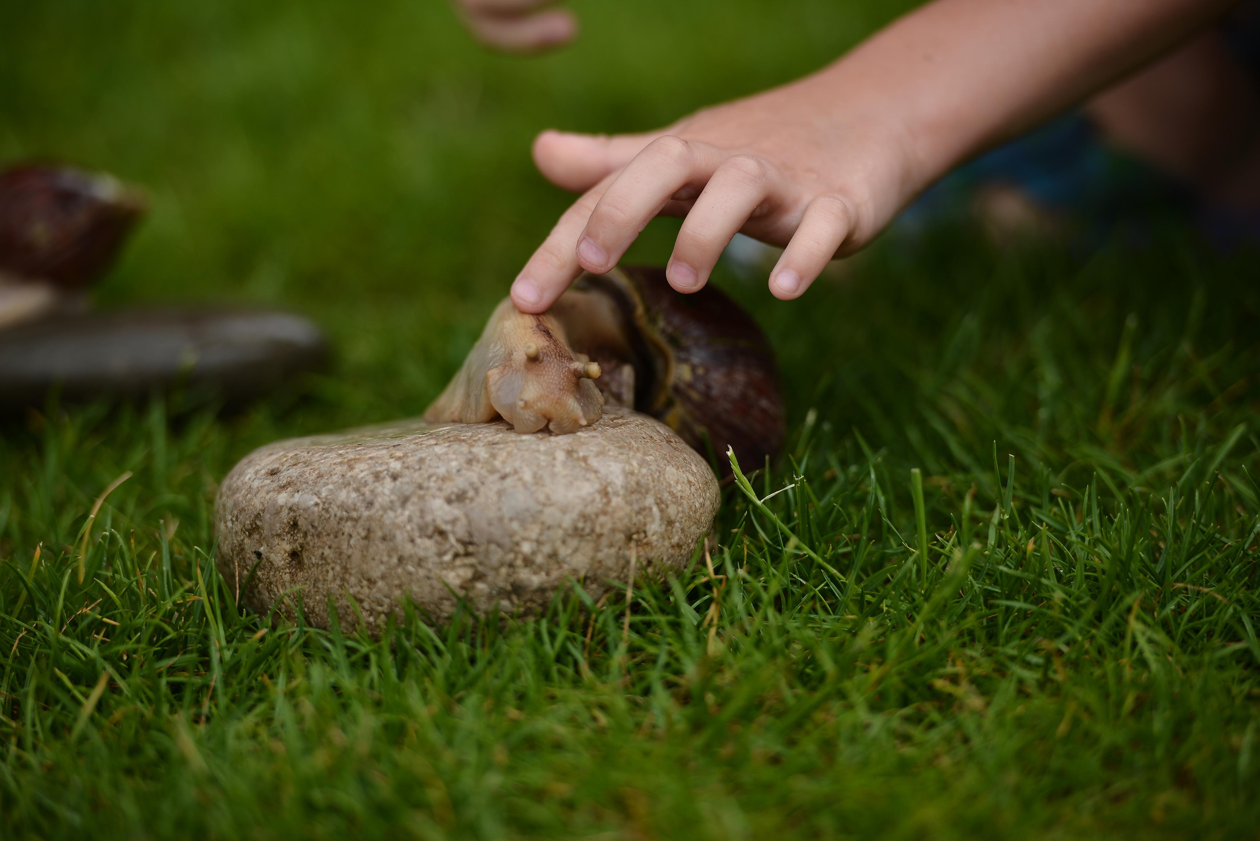 Необычные гости. Фотограф Натали Кошевая _ Днепр, Подгородное