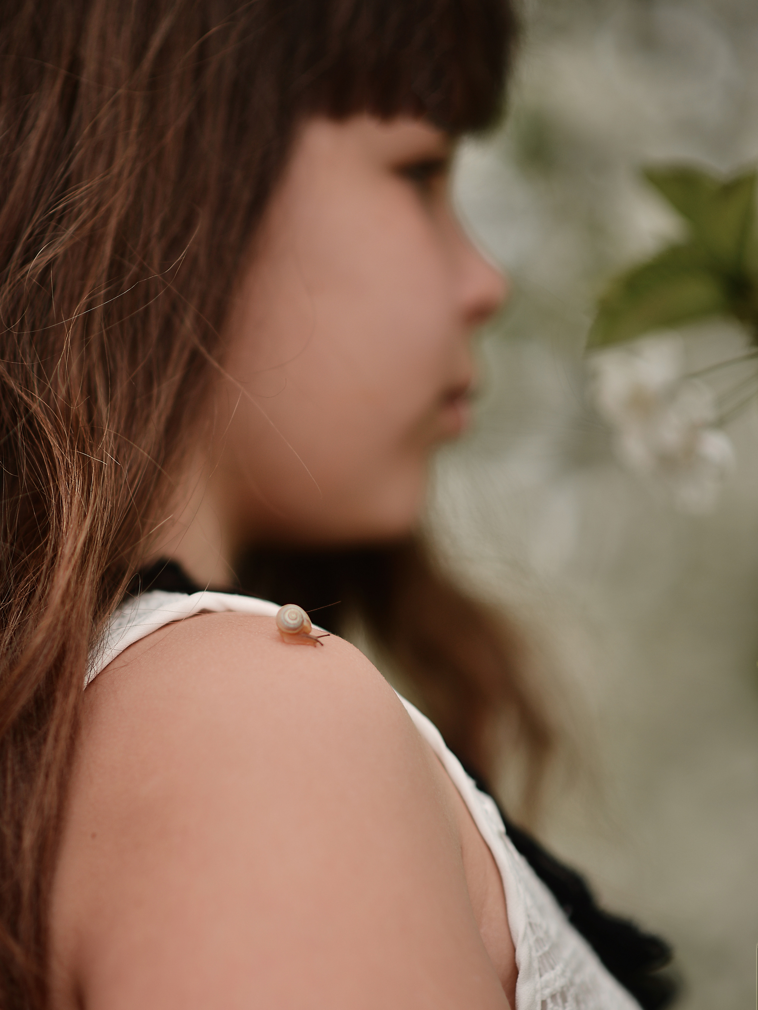 Тюльпанная история. Фотограф Натали Кошевая _ Днепр, Подгородное