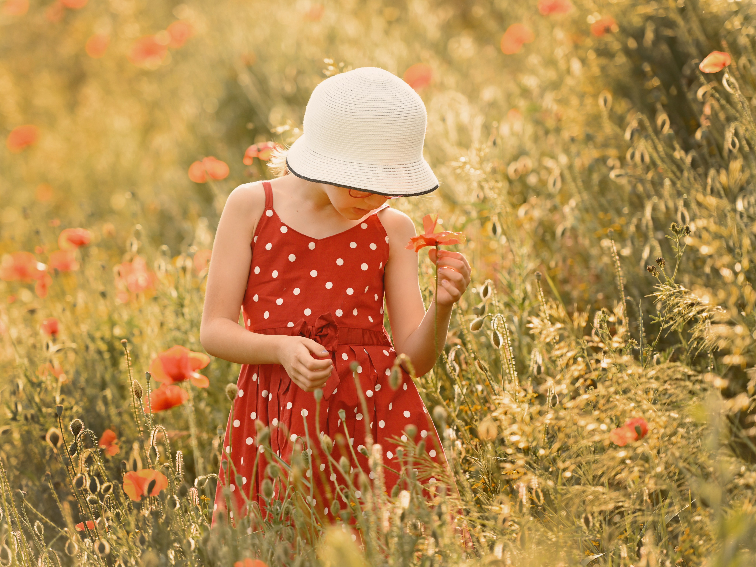 Маковая нежность. Фотограф Натали Кошевая _ Днепр, Подгородное