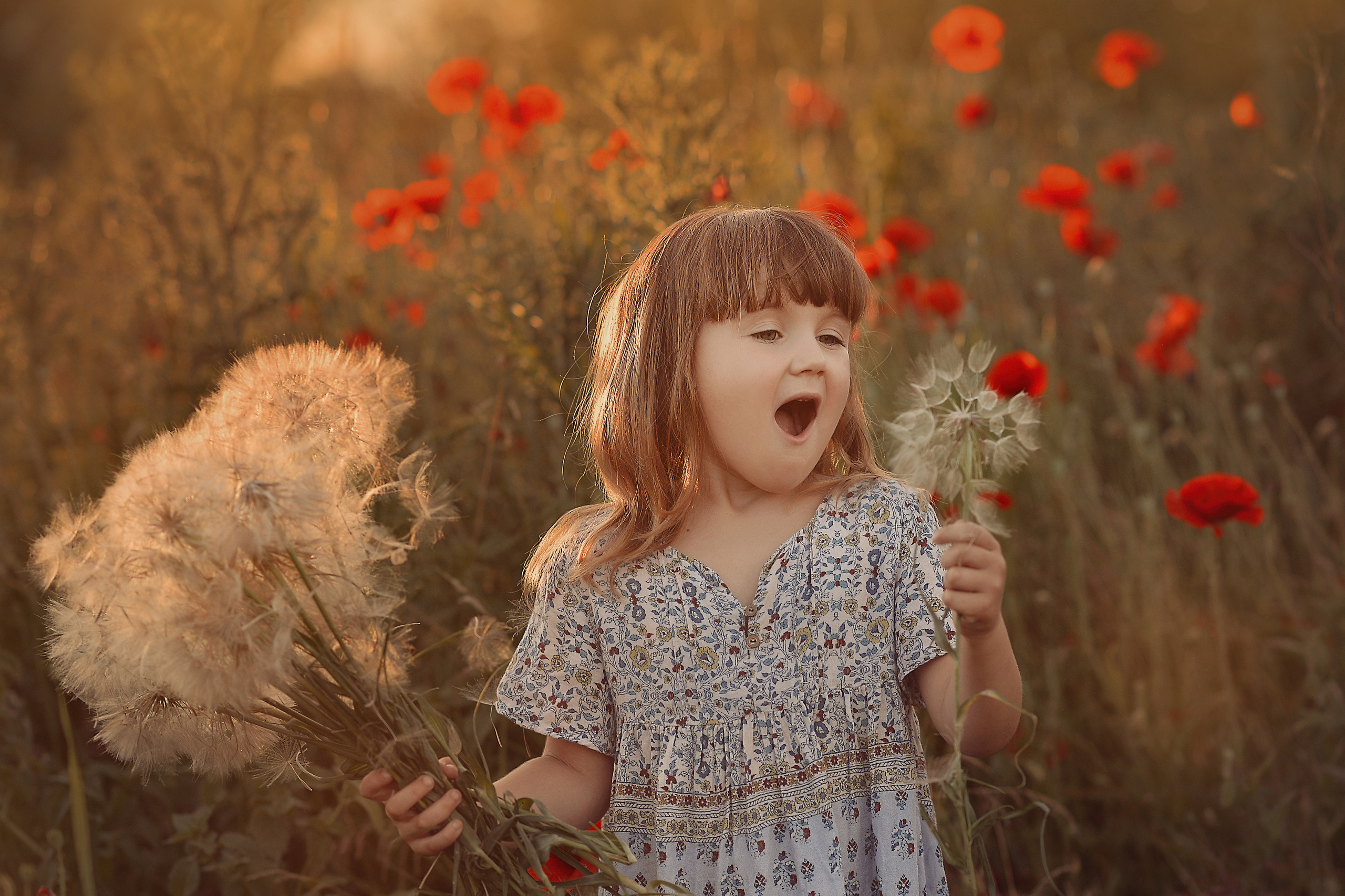 Маковая история. Фотограф Натали Кошевая _ Днепр, Подгородное