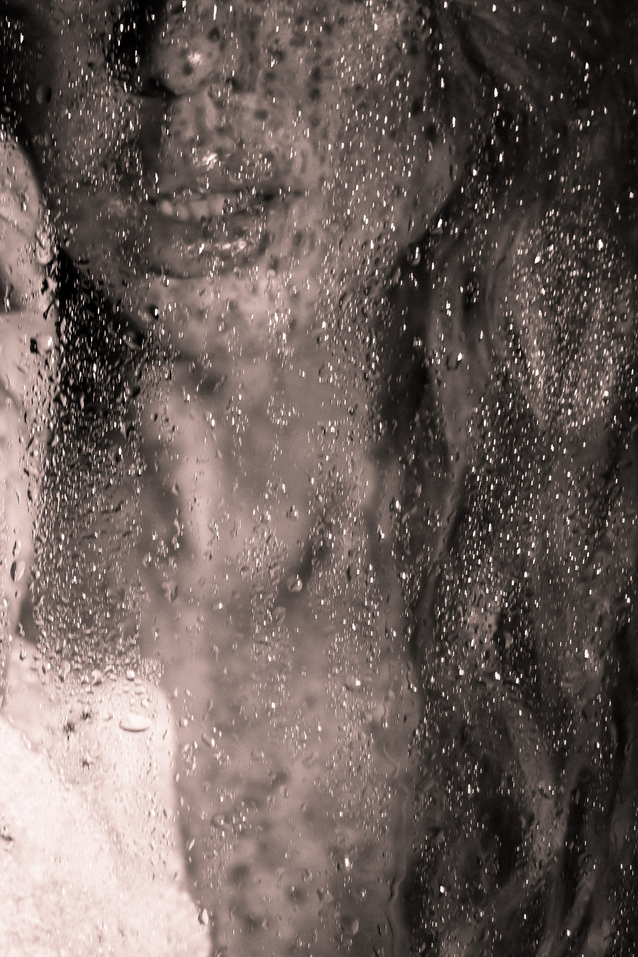 За стеклом. Фотограф Натали Кошевая _ Днепр, Подгородное