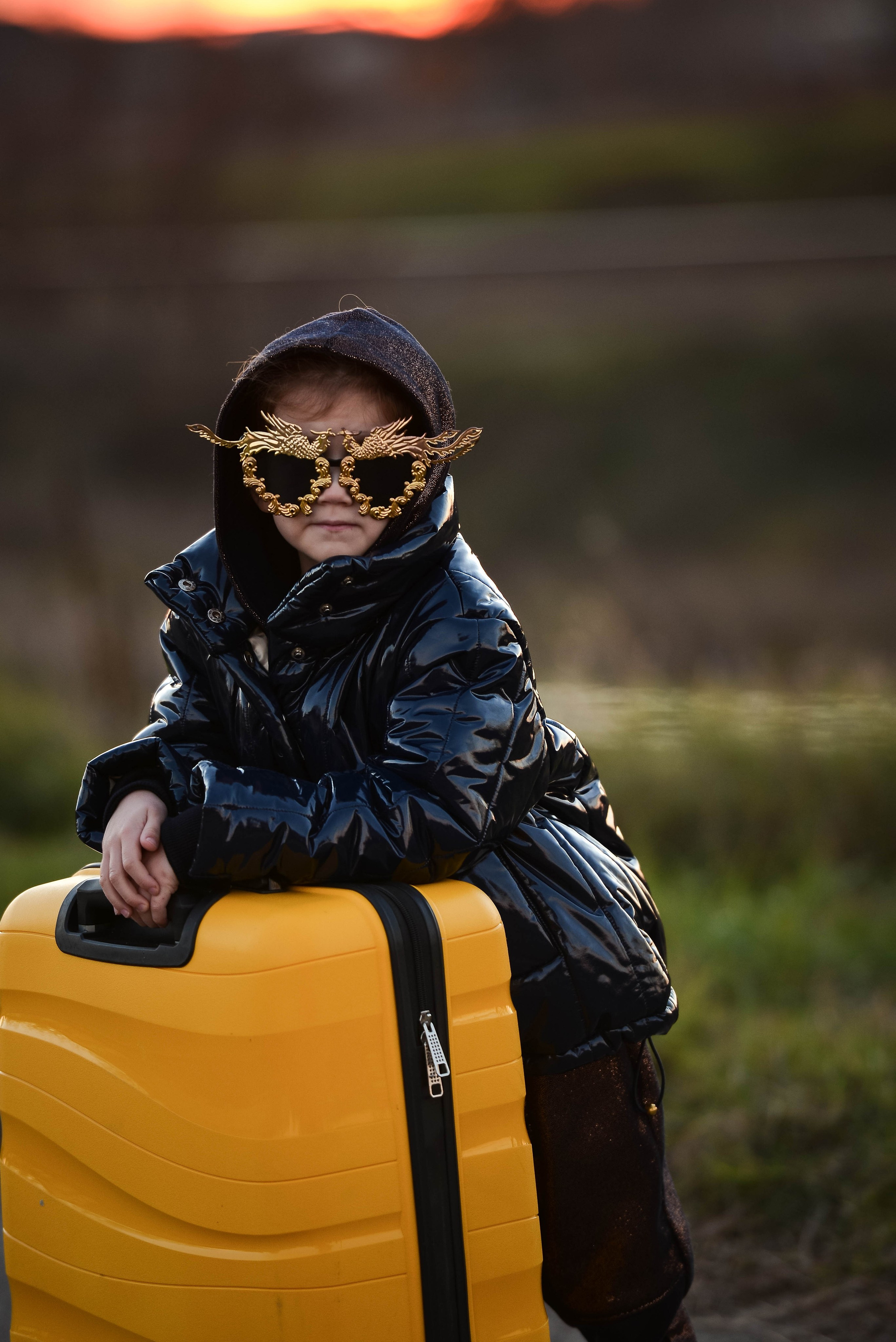Жёлтый чемодан. Фотограф Натали Кошевая _ Днепр, Подгородное