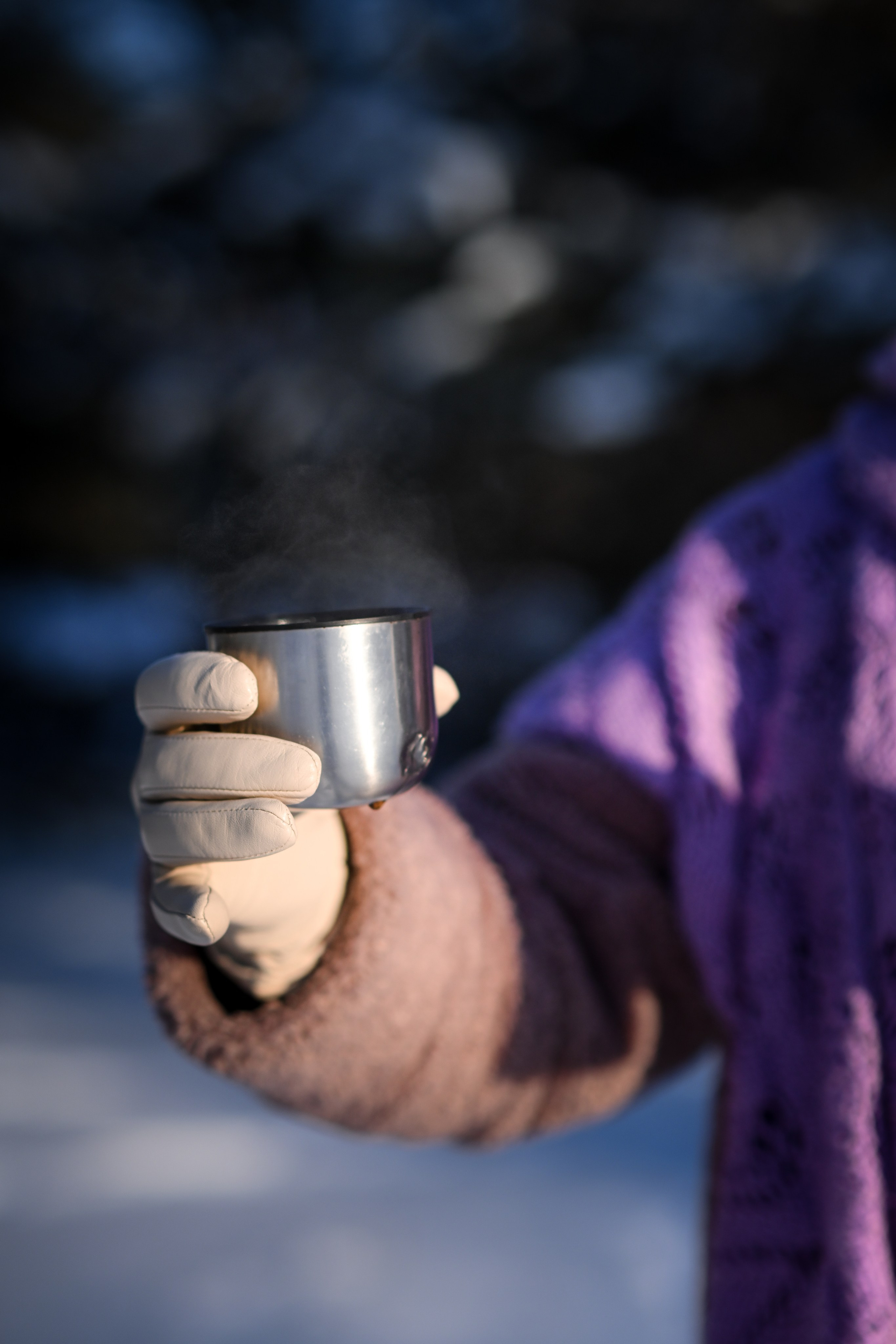Снежная в лесу. Фотограф Натали Кошевая _ Днепр, Подгородное