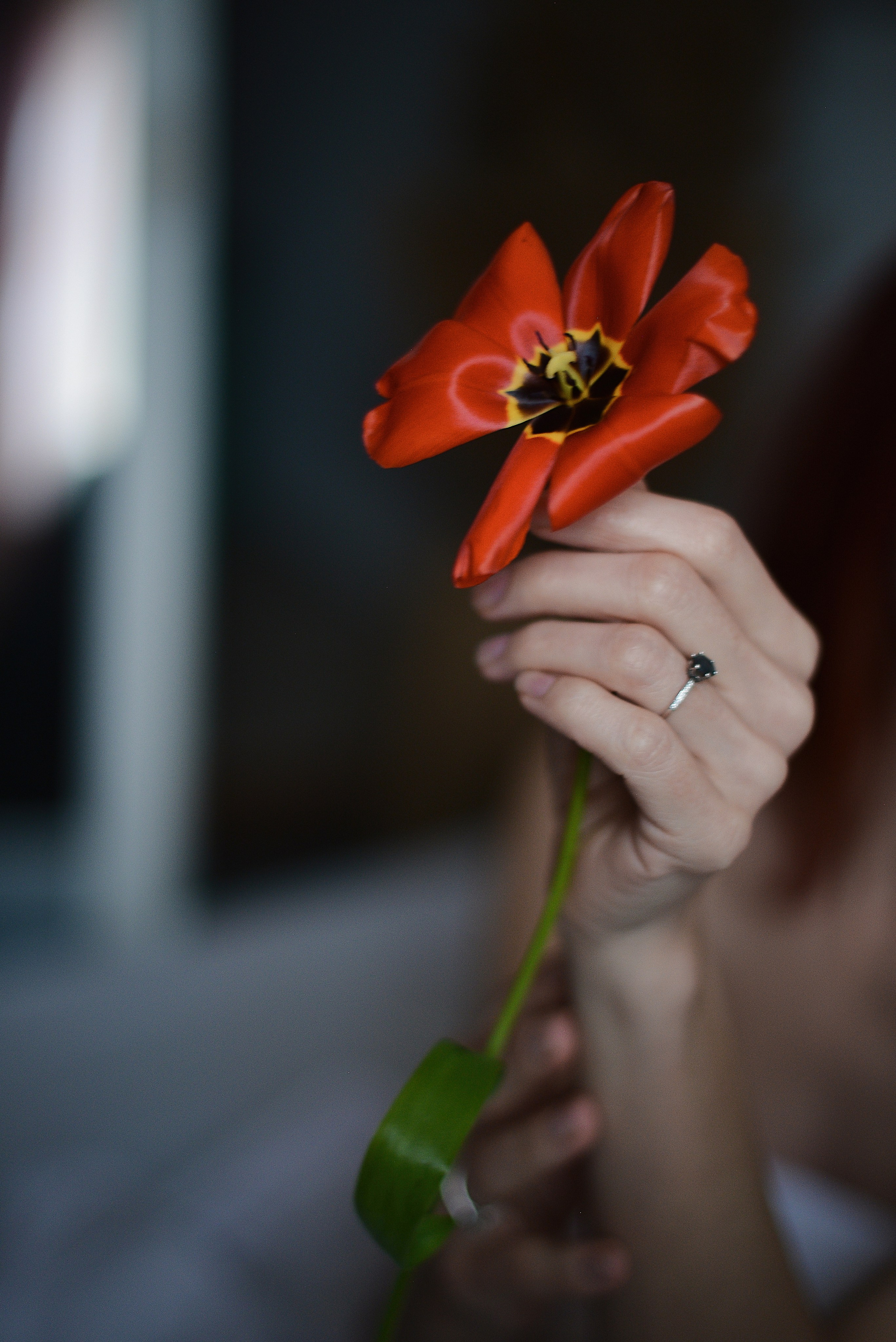 Доброе утро. Фотограф Натали Кошевая _ Днепр, Подгородное