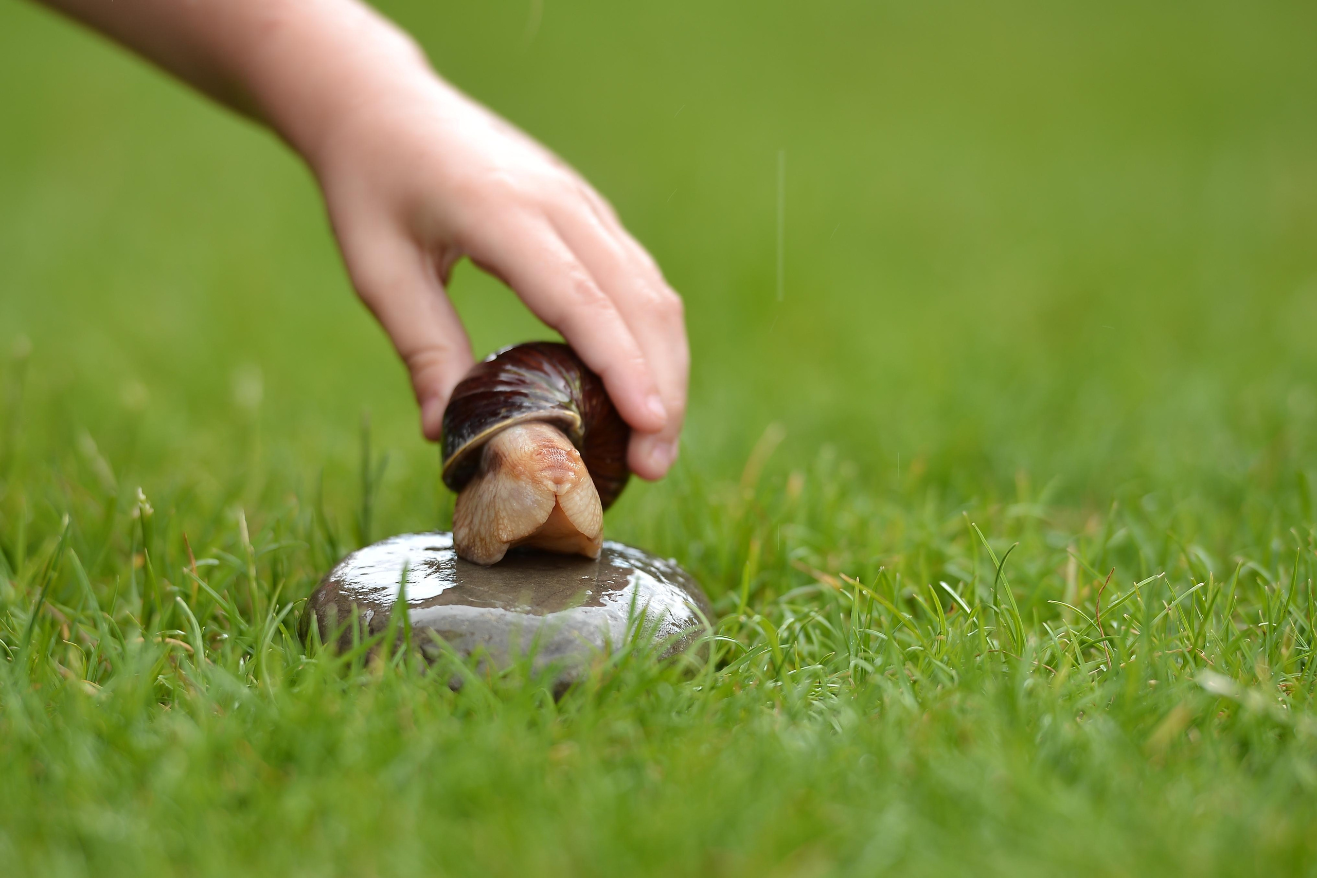 Необычные гости. Фотограф Натали Кошевая _ Днепр, Подгородное