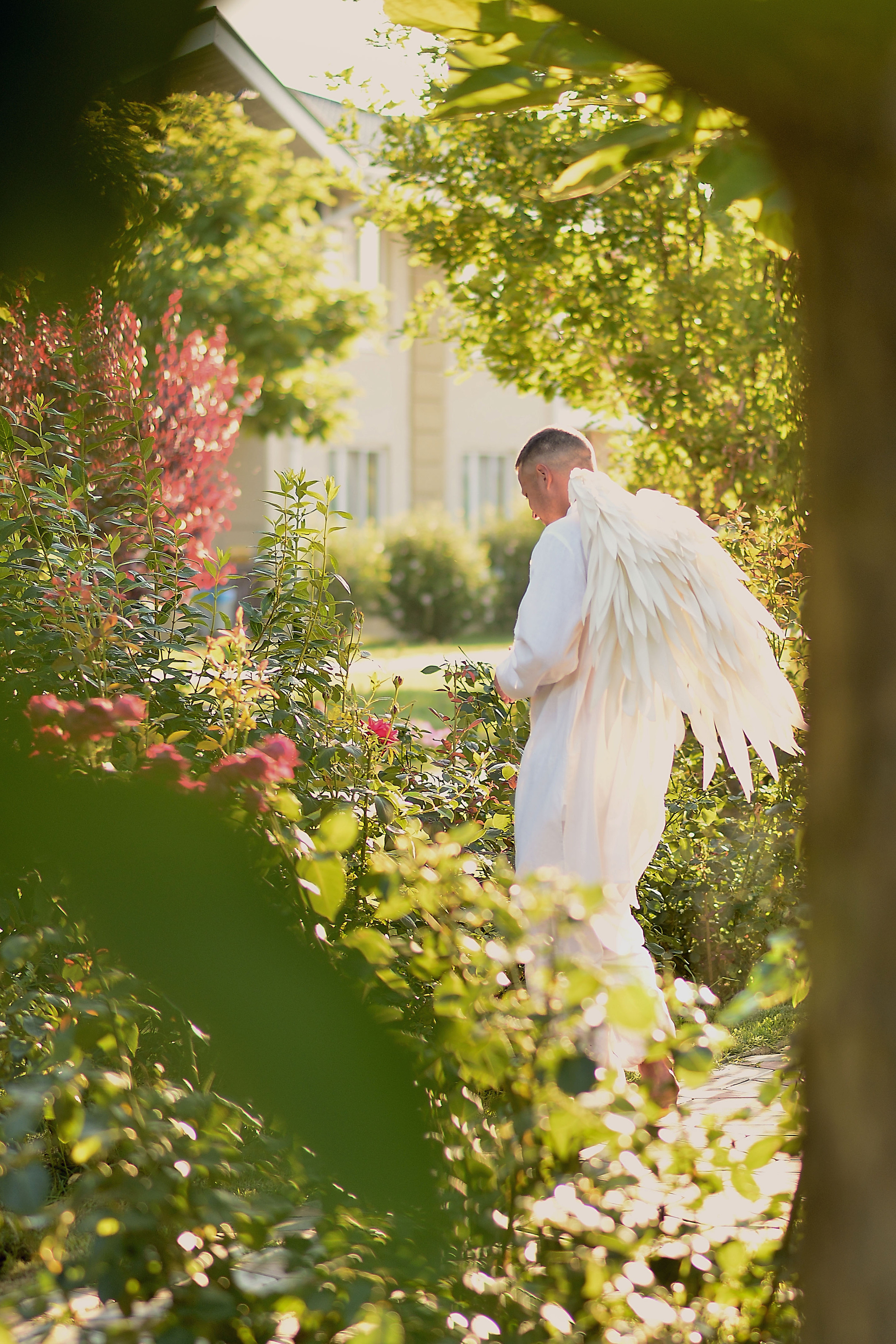 Ангел, спустившийся с небес. Фотограф Натали Кошевая _ Днепр, Подгородное