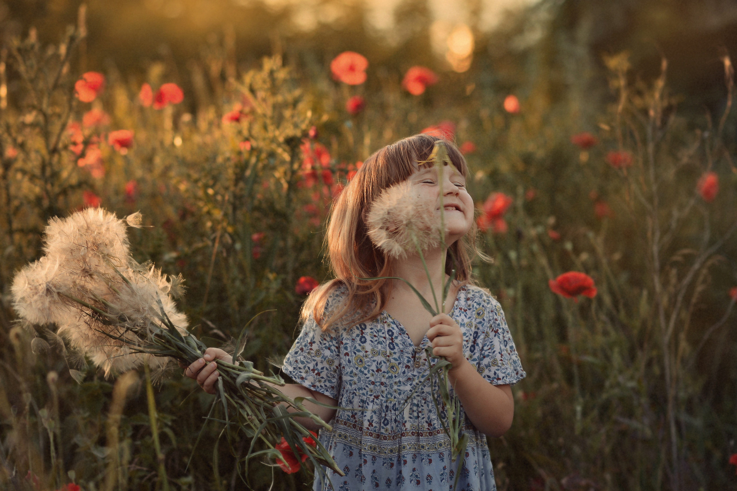 Маковая история. Фотограф Натали Кошевая _ Днепр, Подгородное