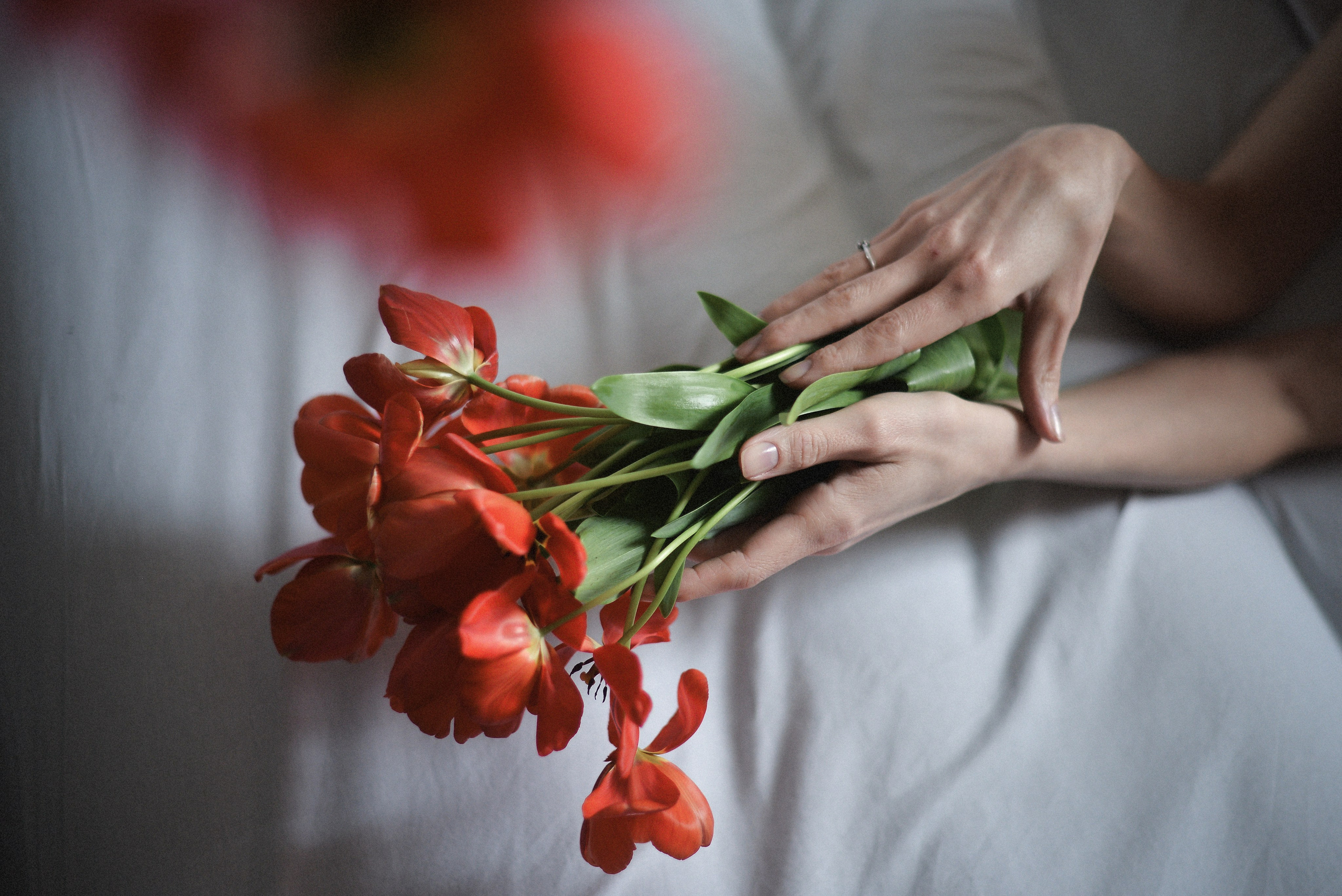 Доброе утро. Фотограф Натали Кошевая _ Днепр, Подгородное