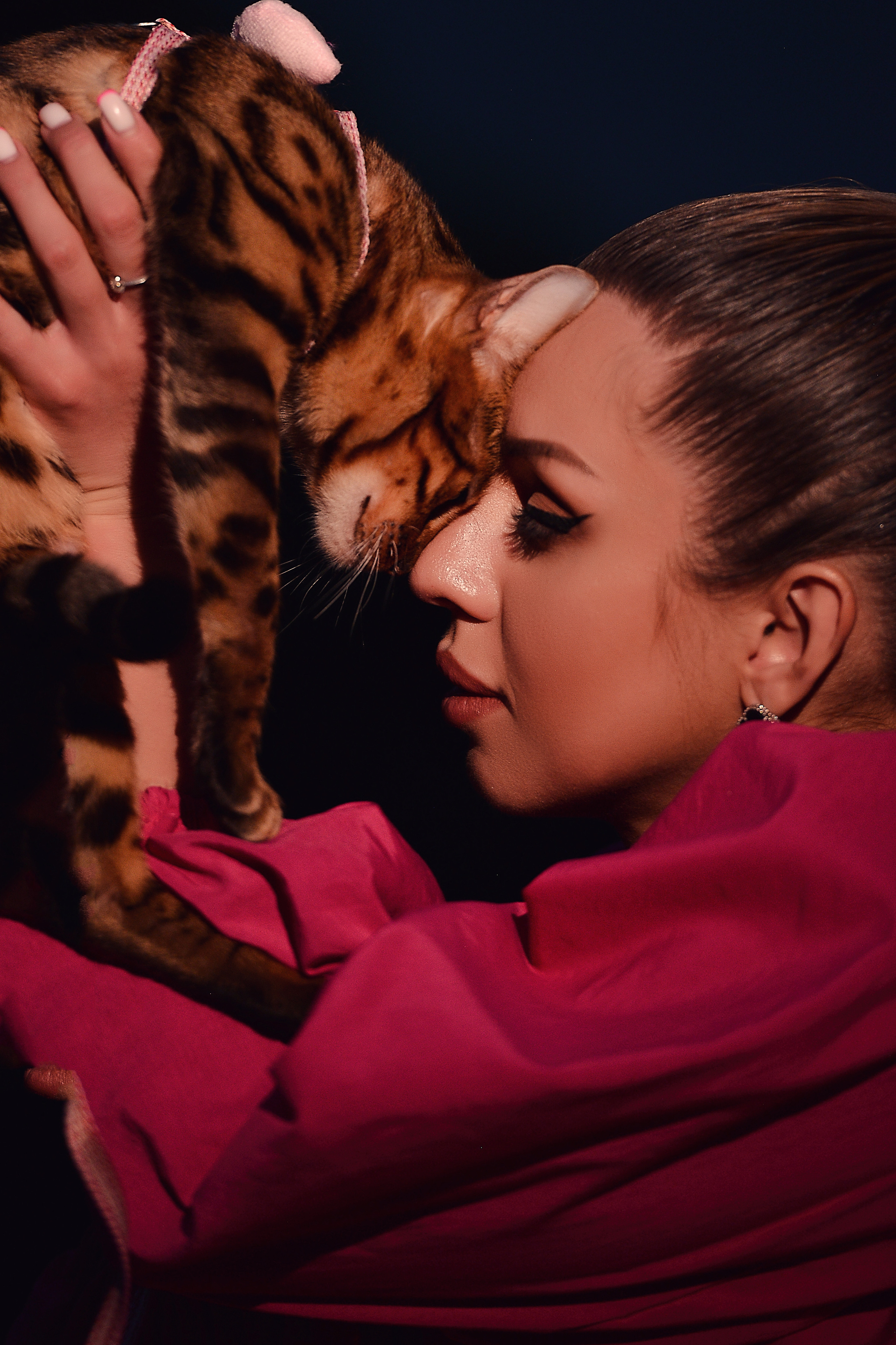 Две кошки. Фотограф Натали Кошевая _ Днепр, Подгородное