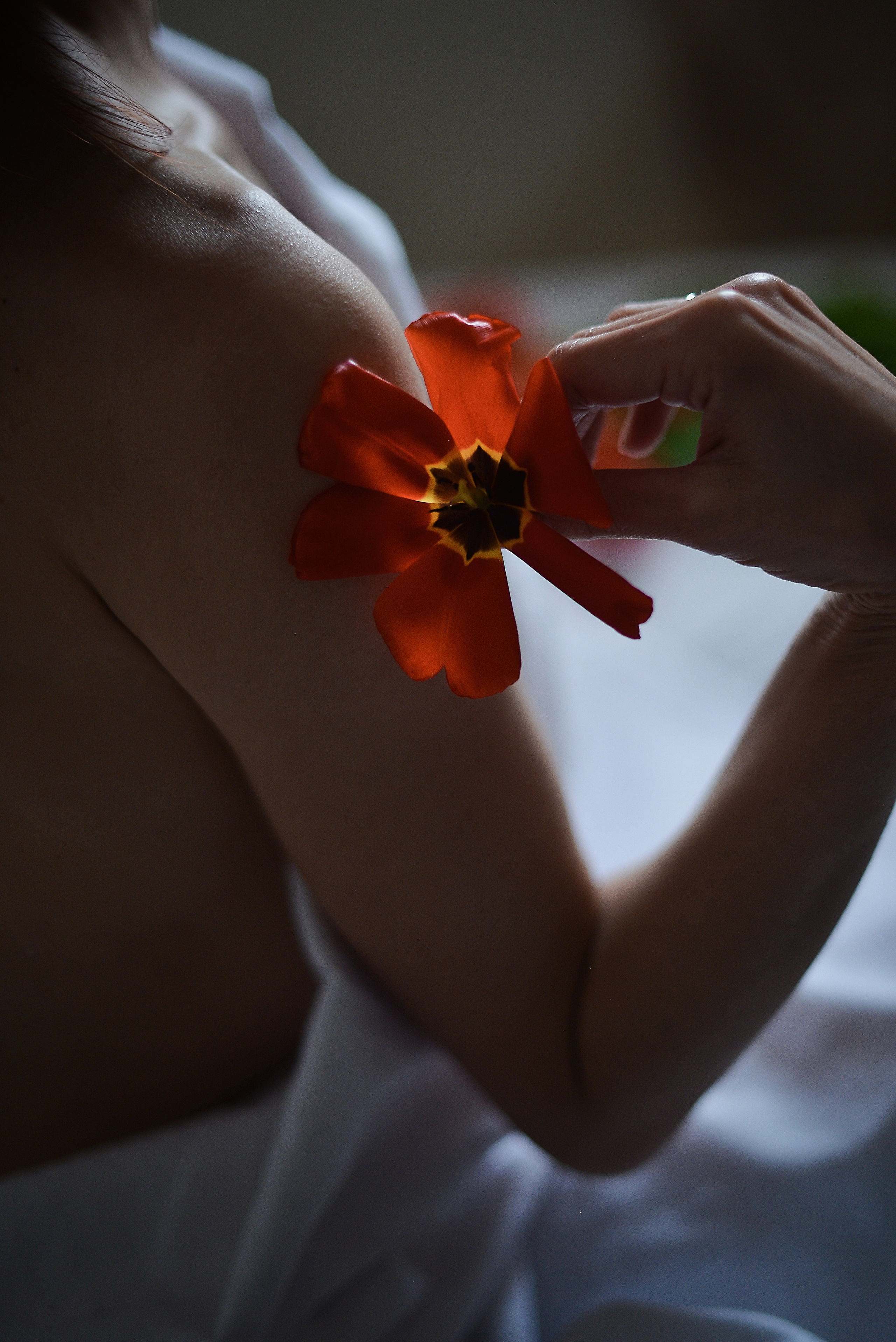 Тюльпанный рай. Фотограф Натали Кошевая _ Днепр, Подгородное