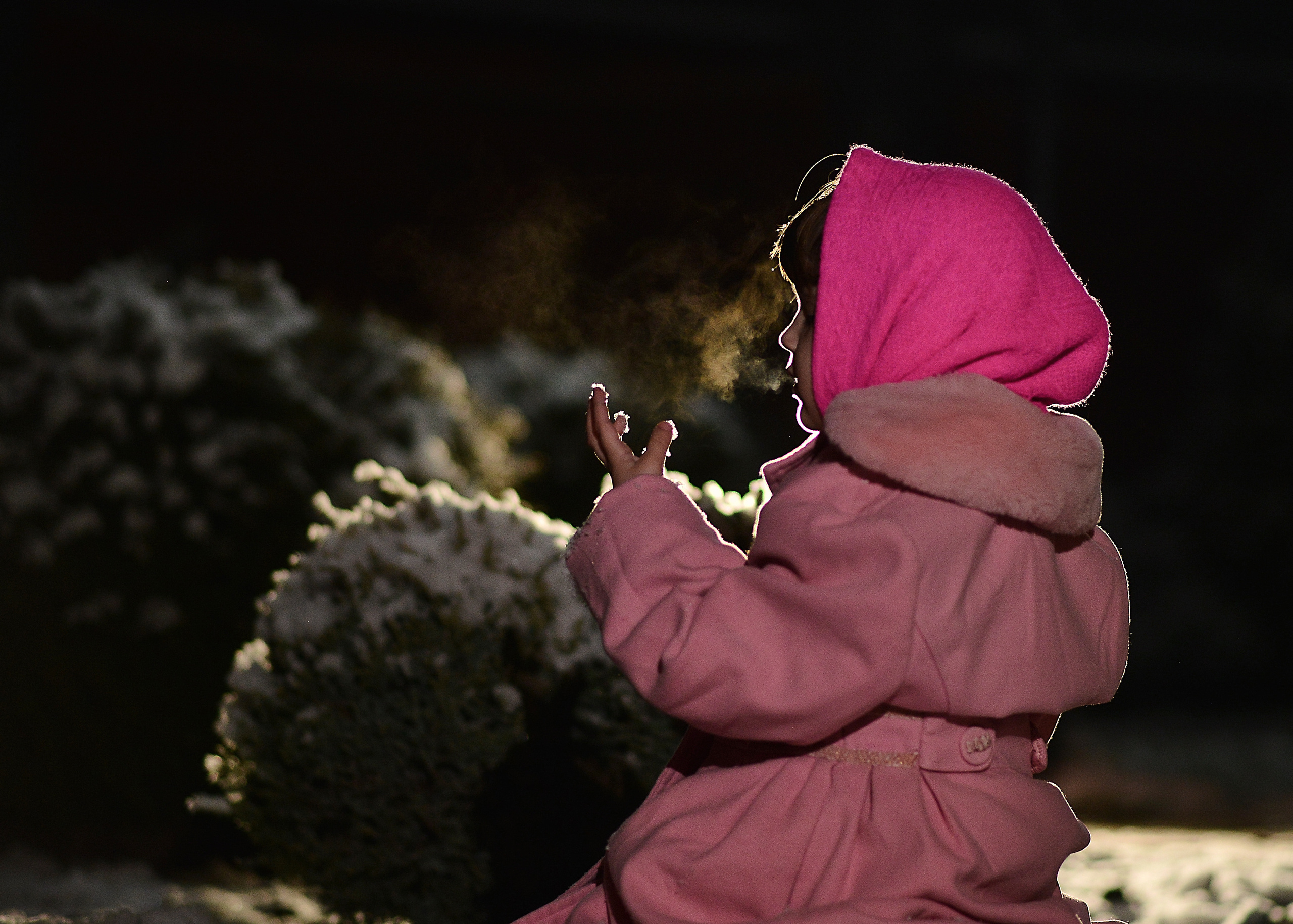 Ладуся. Фотограф Натали Кошевая _ Днепр, Подгородное