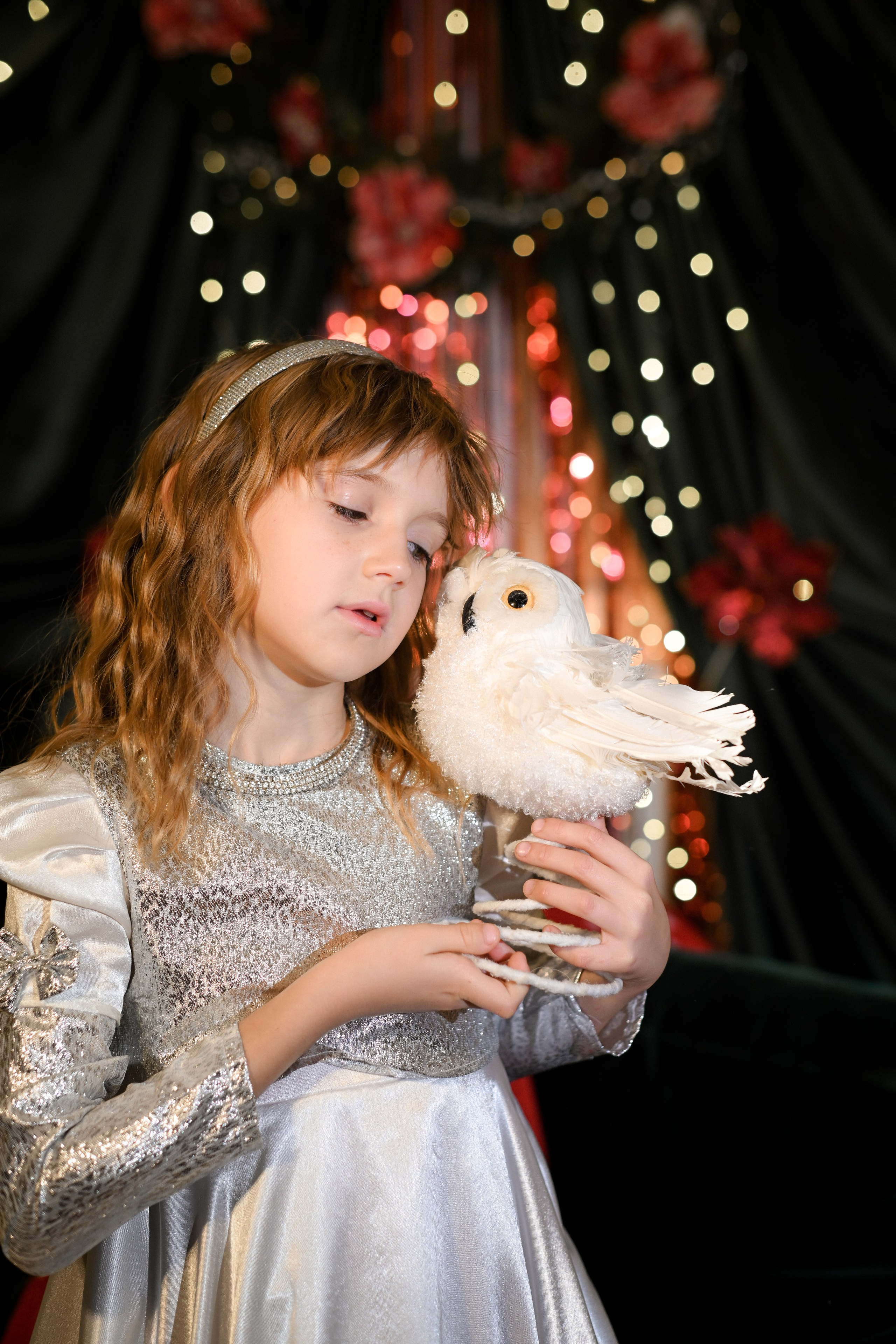 Новогодняя сказка. Фотограф Натали Кошевая _ Днепр, Подгородное