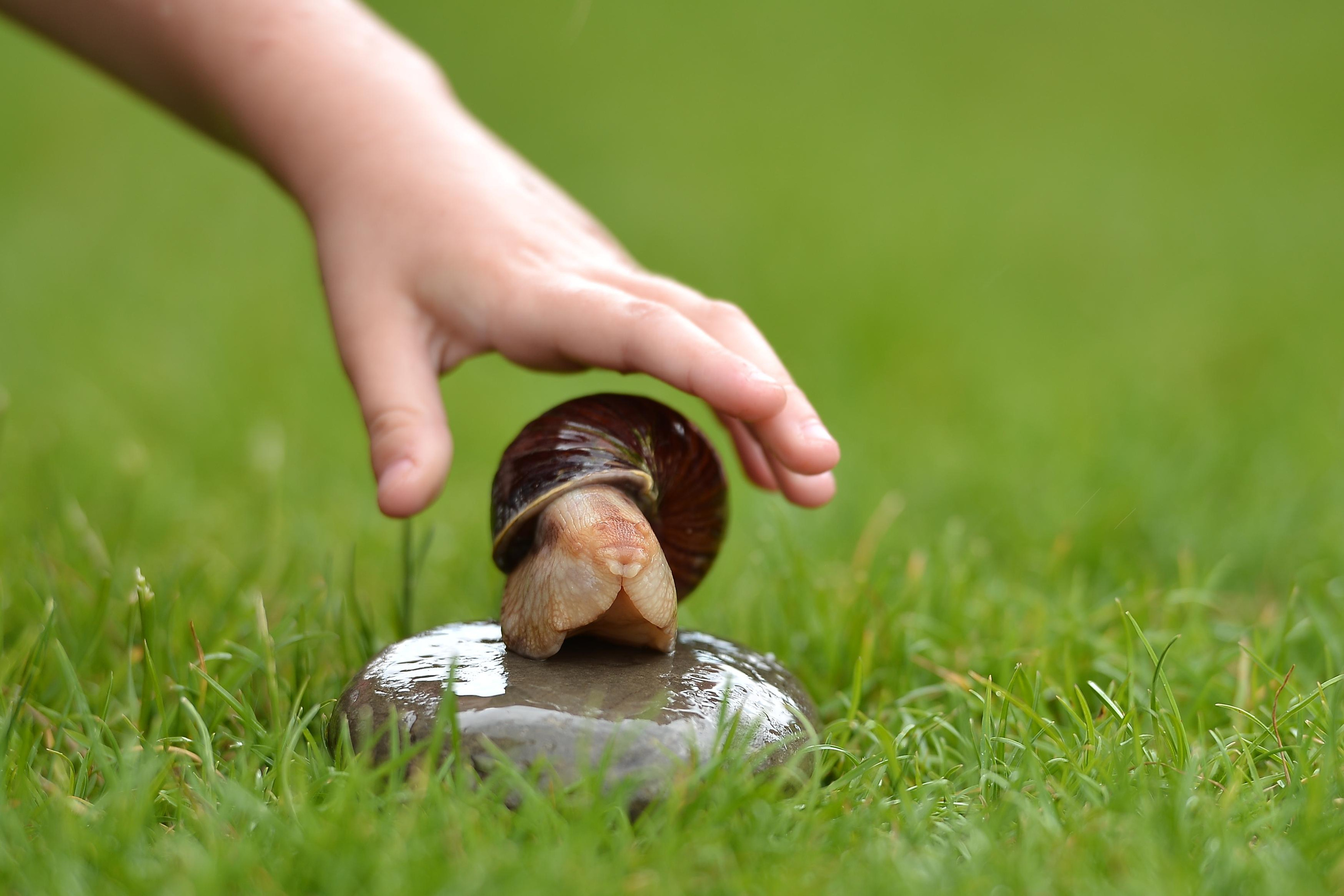 Необычные гости. Фотограф Натали Кошевая _ Днепр, Подгородное