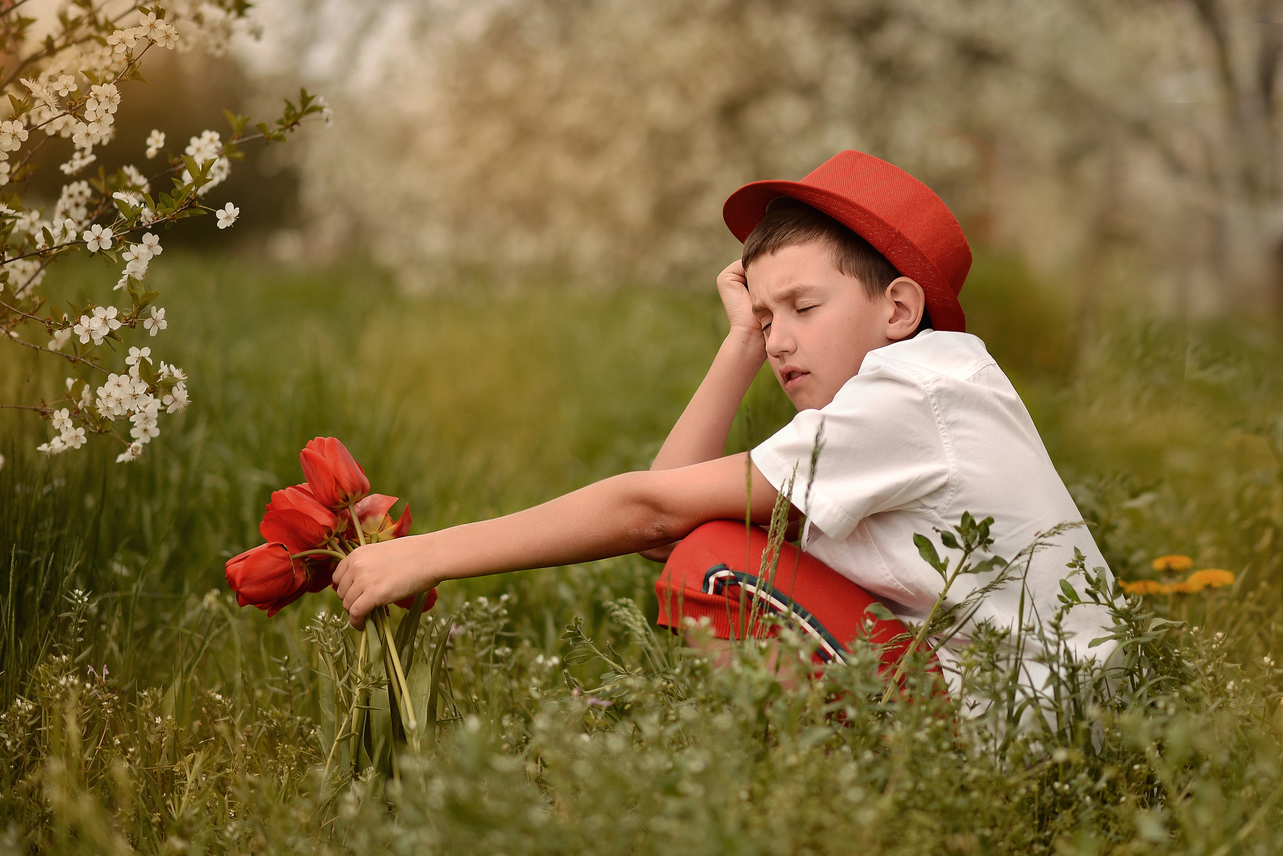 Тюльпанная история. Фотограф Натали Кошевая _ Днепр, Подгородное