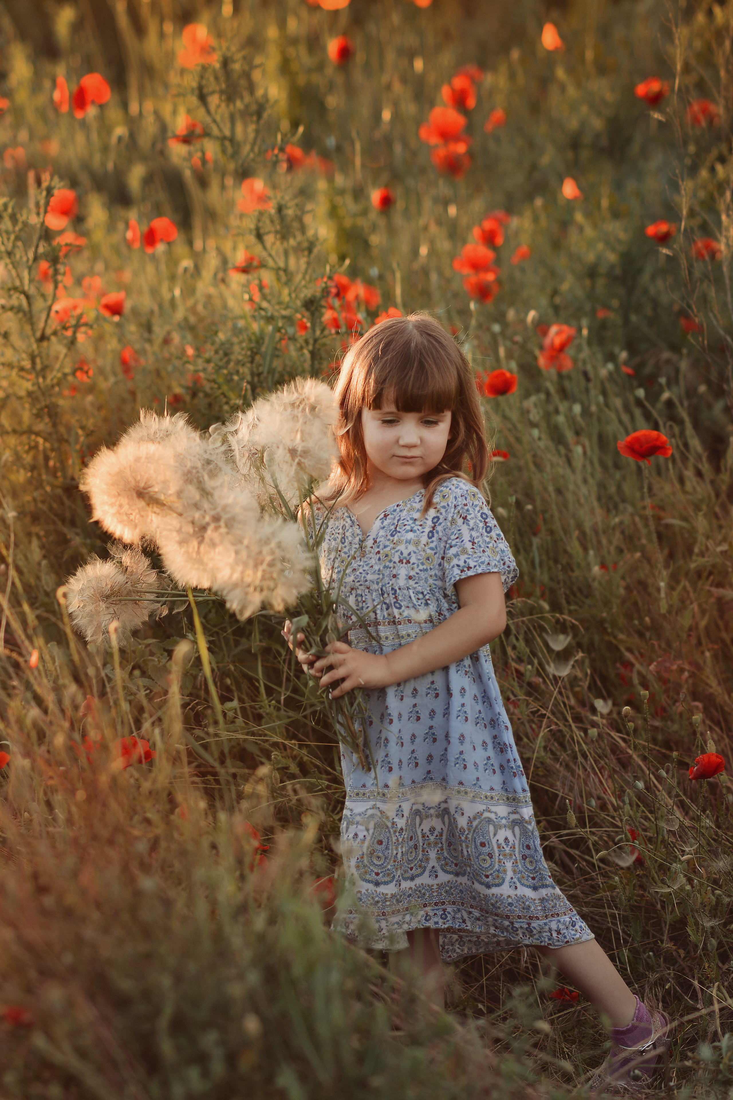 Маковая история. Фотограф Натали Кошевая _ Днепр, Подгородное
