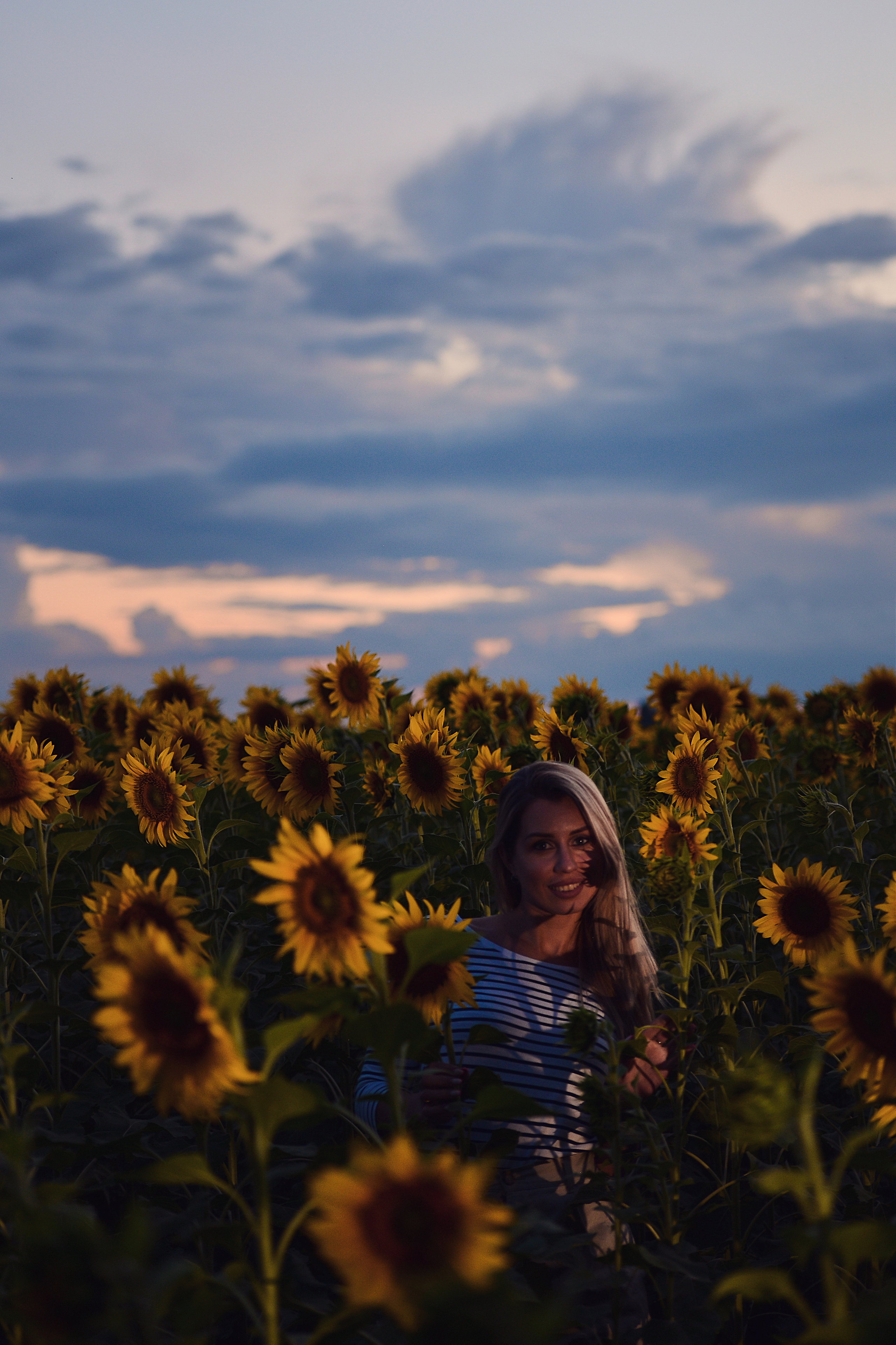 Фотосессия в подсолнухах. Фотограф Натали Кошевая _ Днепр, Подгородное