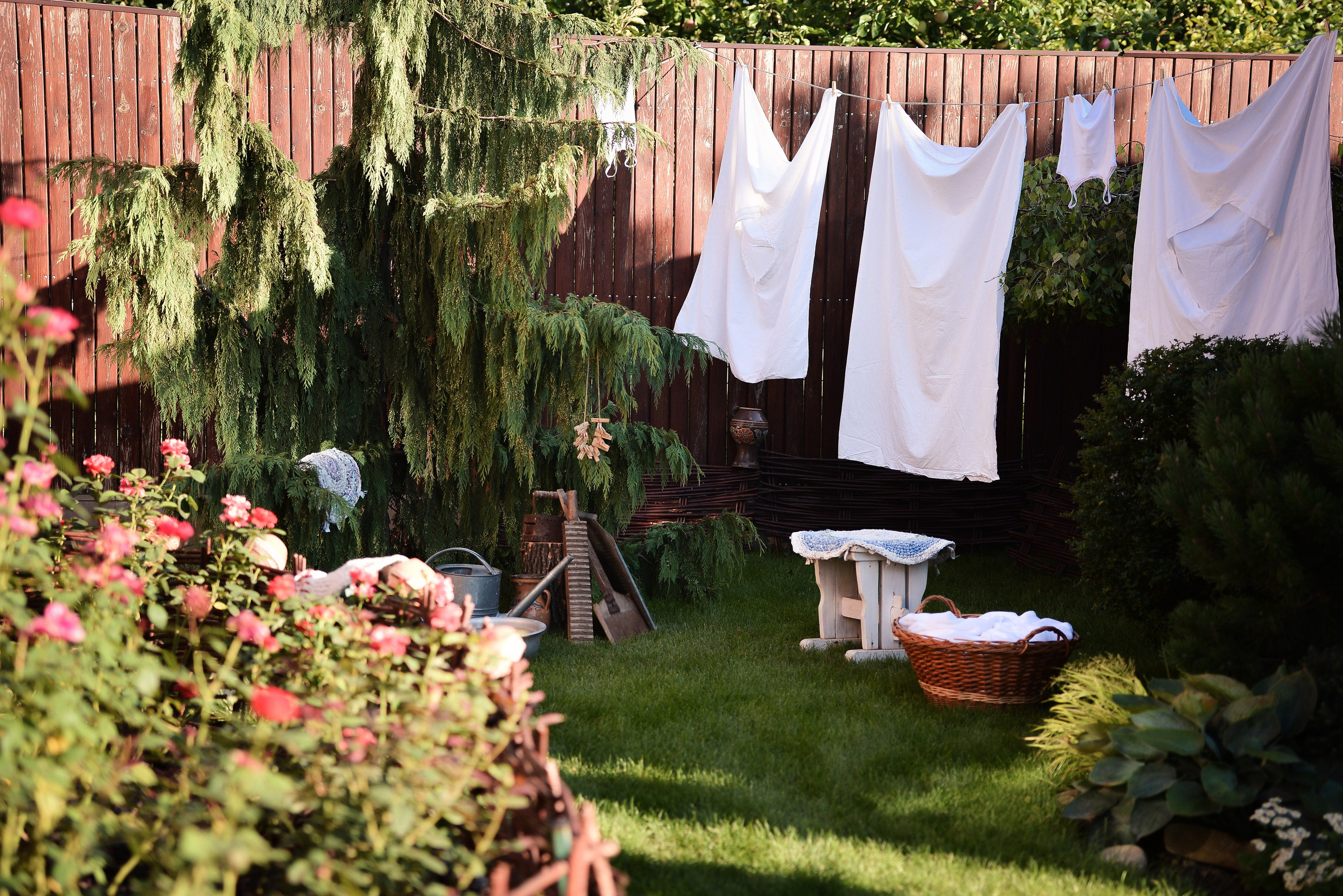 Стирка в саду. Фотограф Натали Кошевая _ Днепр, Подгородное