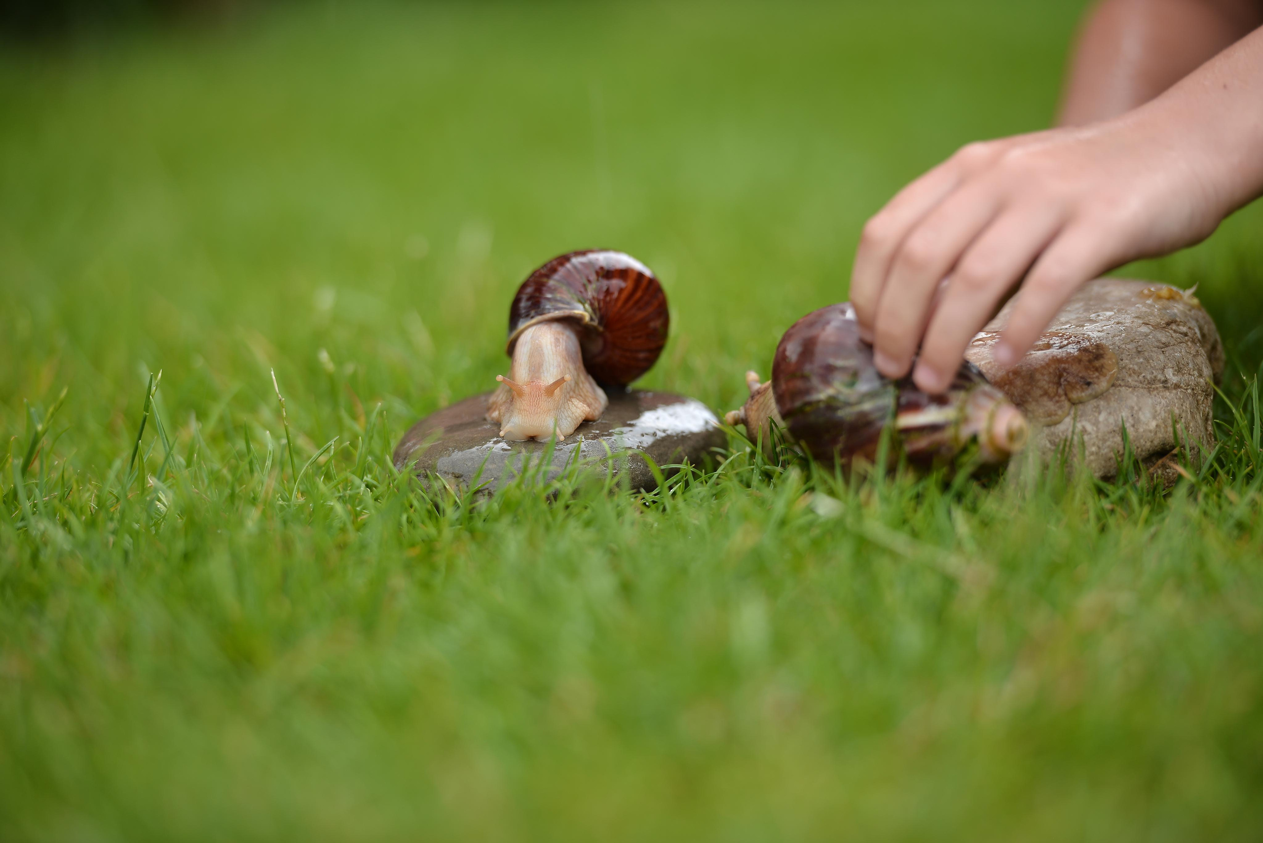 Необычные гости. Фотограф Натали Кошевая _ Днепр, Подгородное