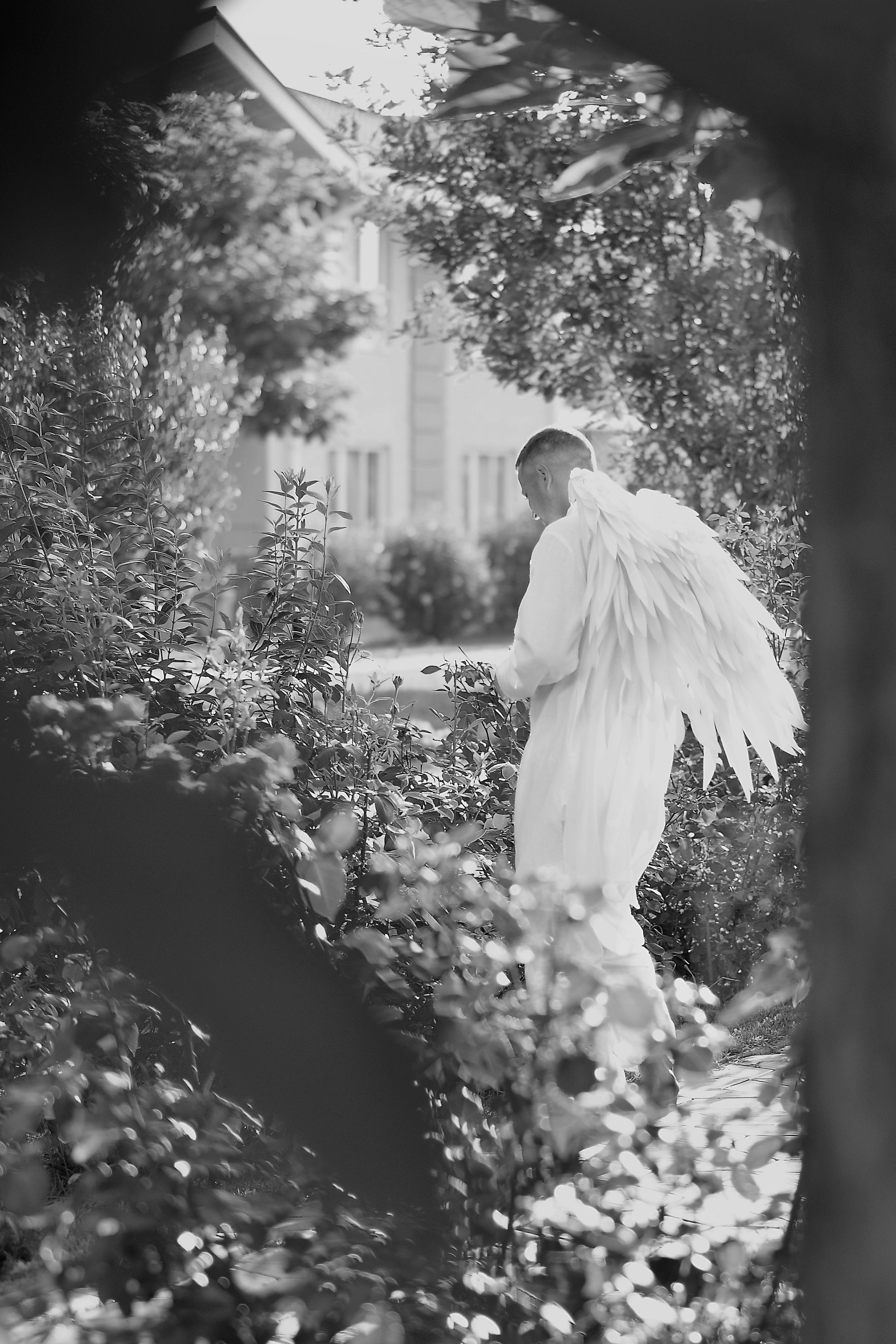 Ангел, спустившийся с небес. Фотограф Натали Кошевая _ Днепр, Подгородное