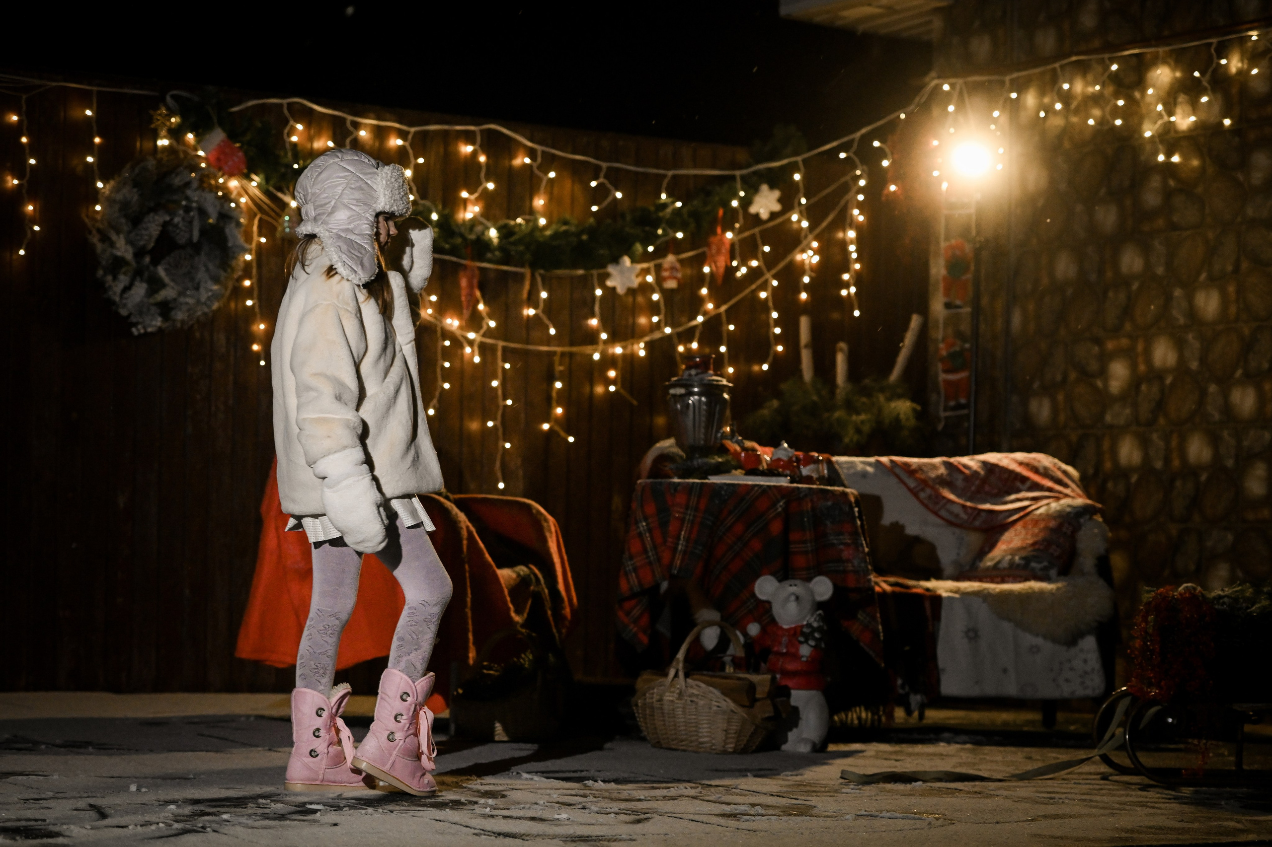 Первый снег. Фотограф Натали Кошевая _ Днепр, Подгородное