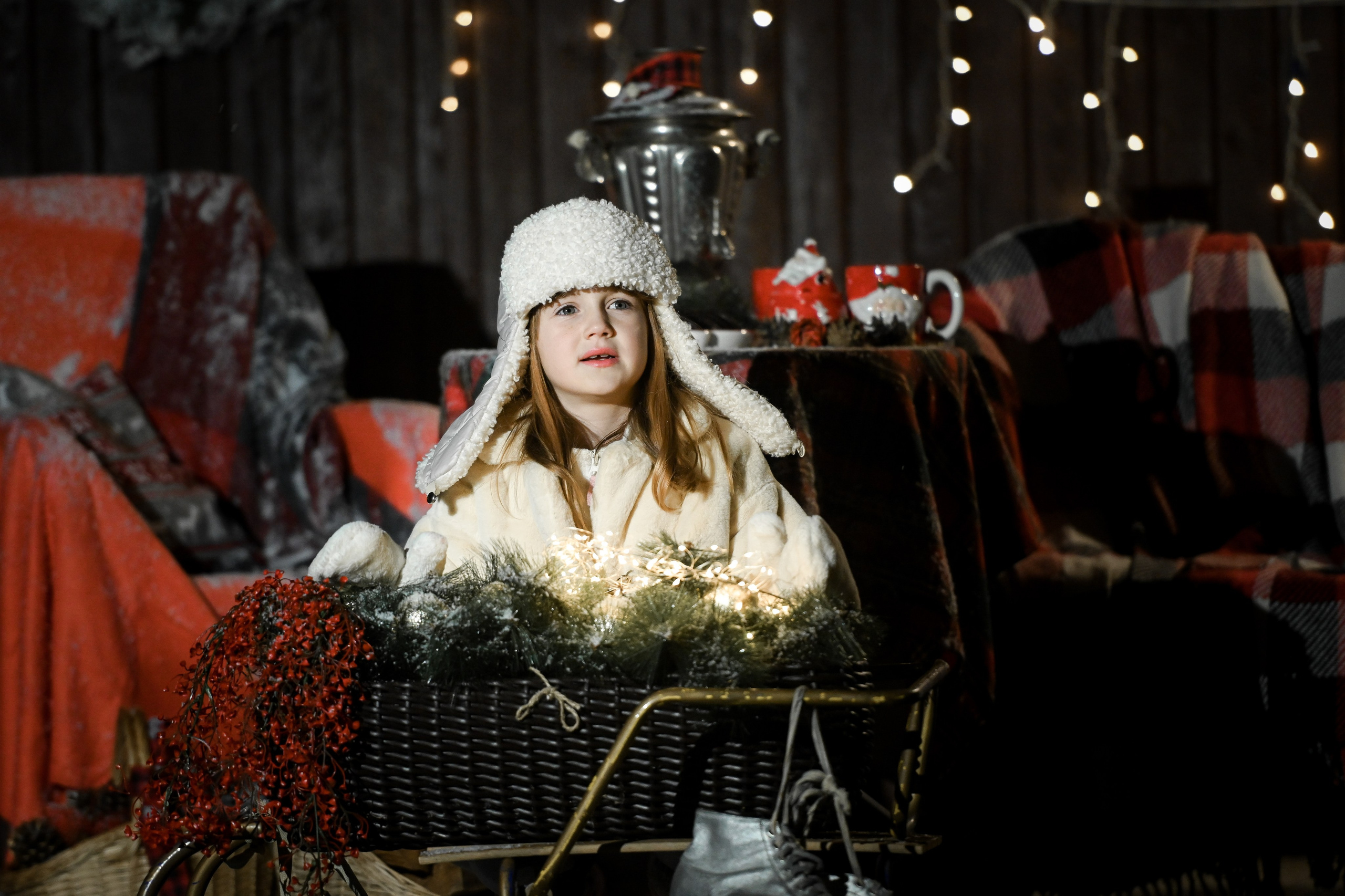 Первый снег. Фотограф Натали Кошевая _ Днепр, Подгородное