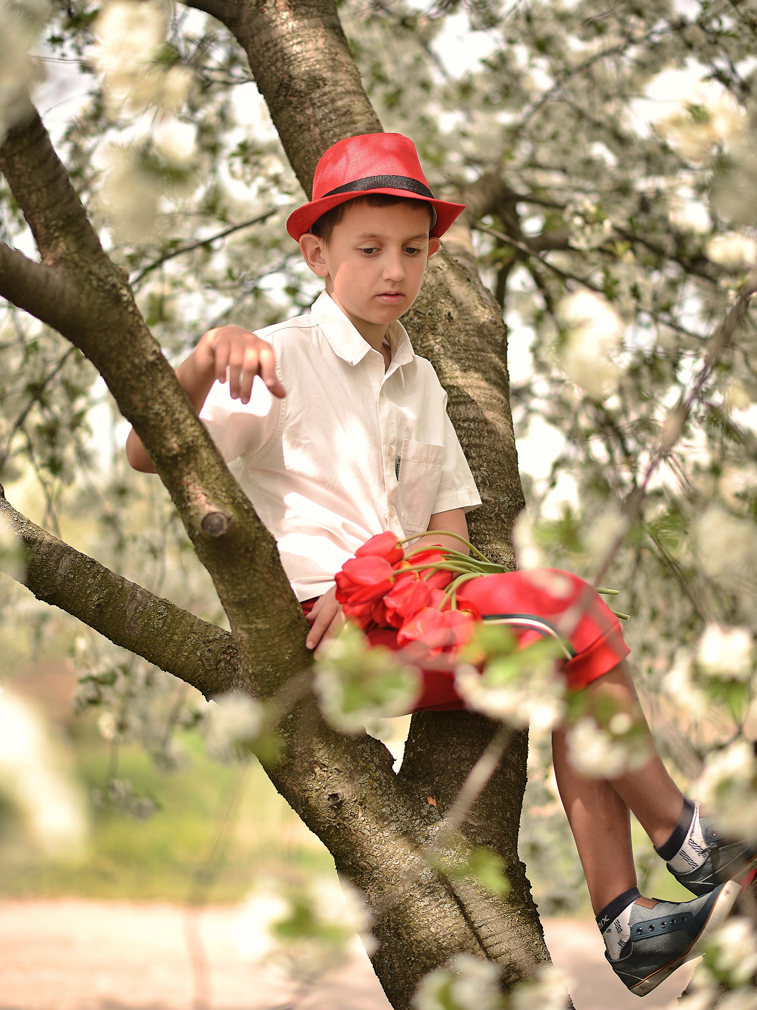 Тюльпанная история. Фотограф Натали Кошевая _ Днепр, Подгородное