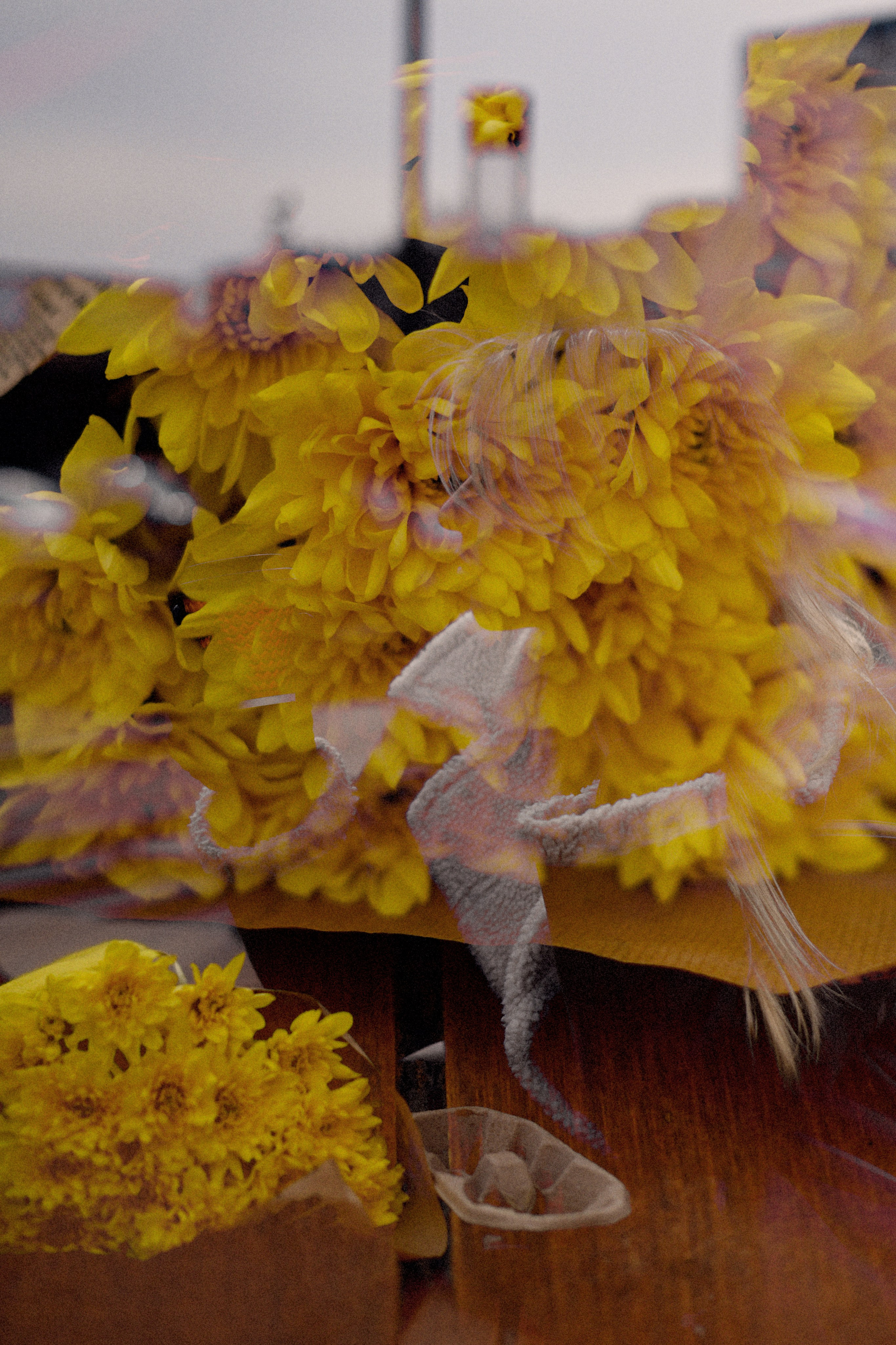 Весеннее настроение. Фотограф Натали Кошевая _ Днепр, Подгородное