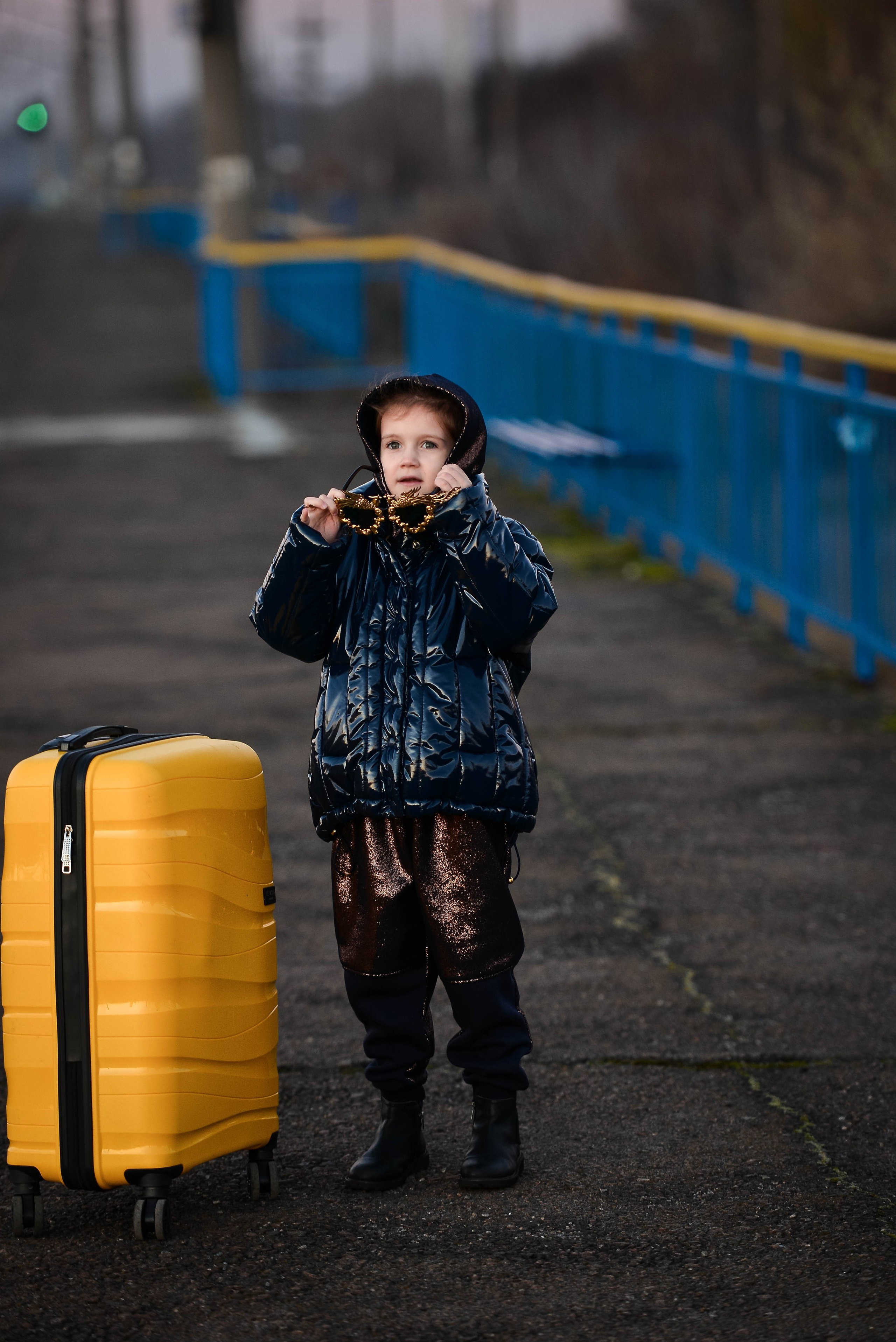 Жёлтый чемодан. Фотограф Натали Кошевая _ Днепр, Подгородное