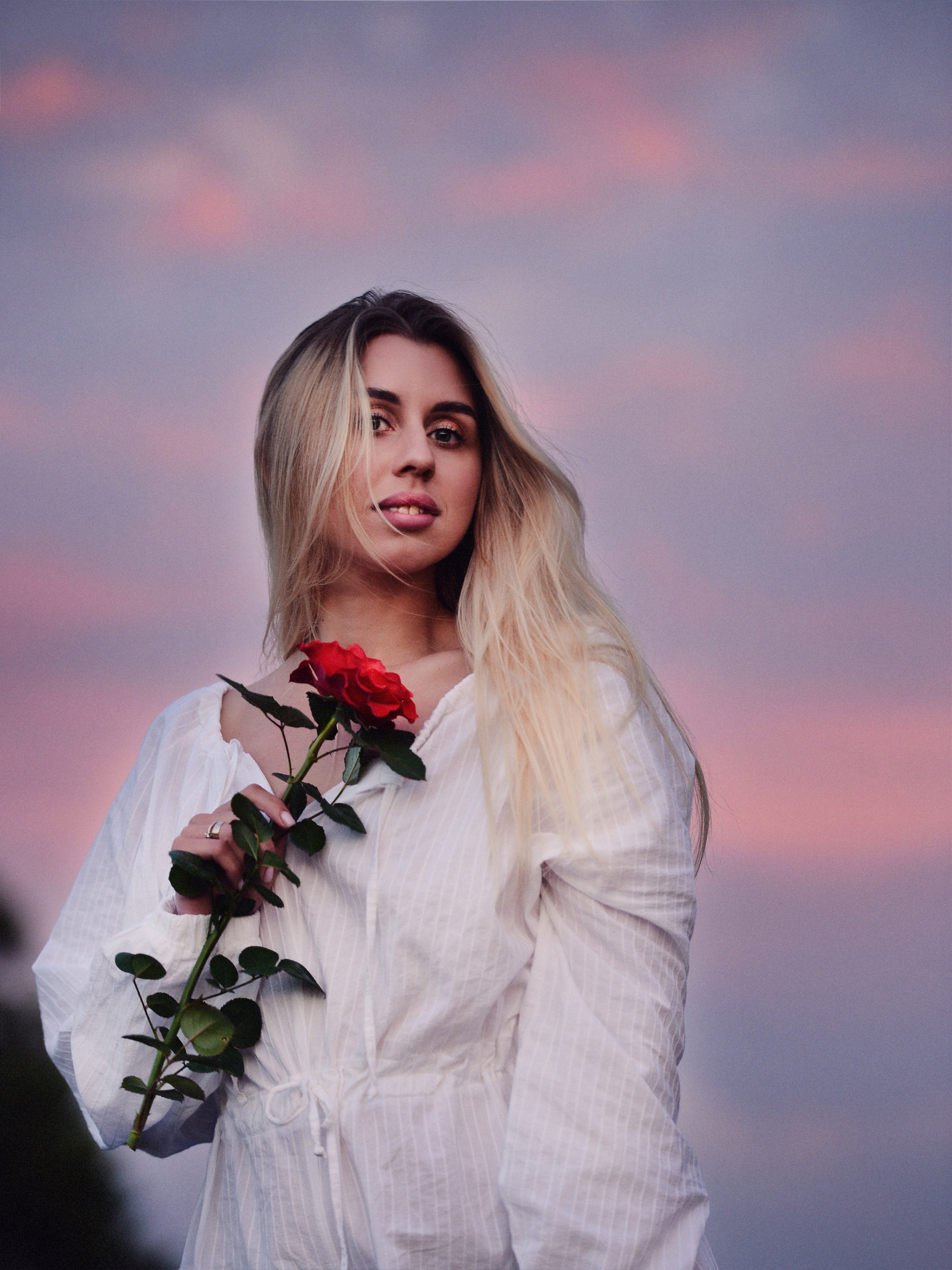 Нежная роза. Фотограф Натали Кошевая _ Днепр, Подгородное