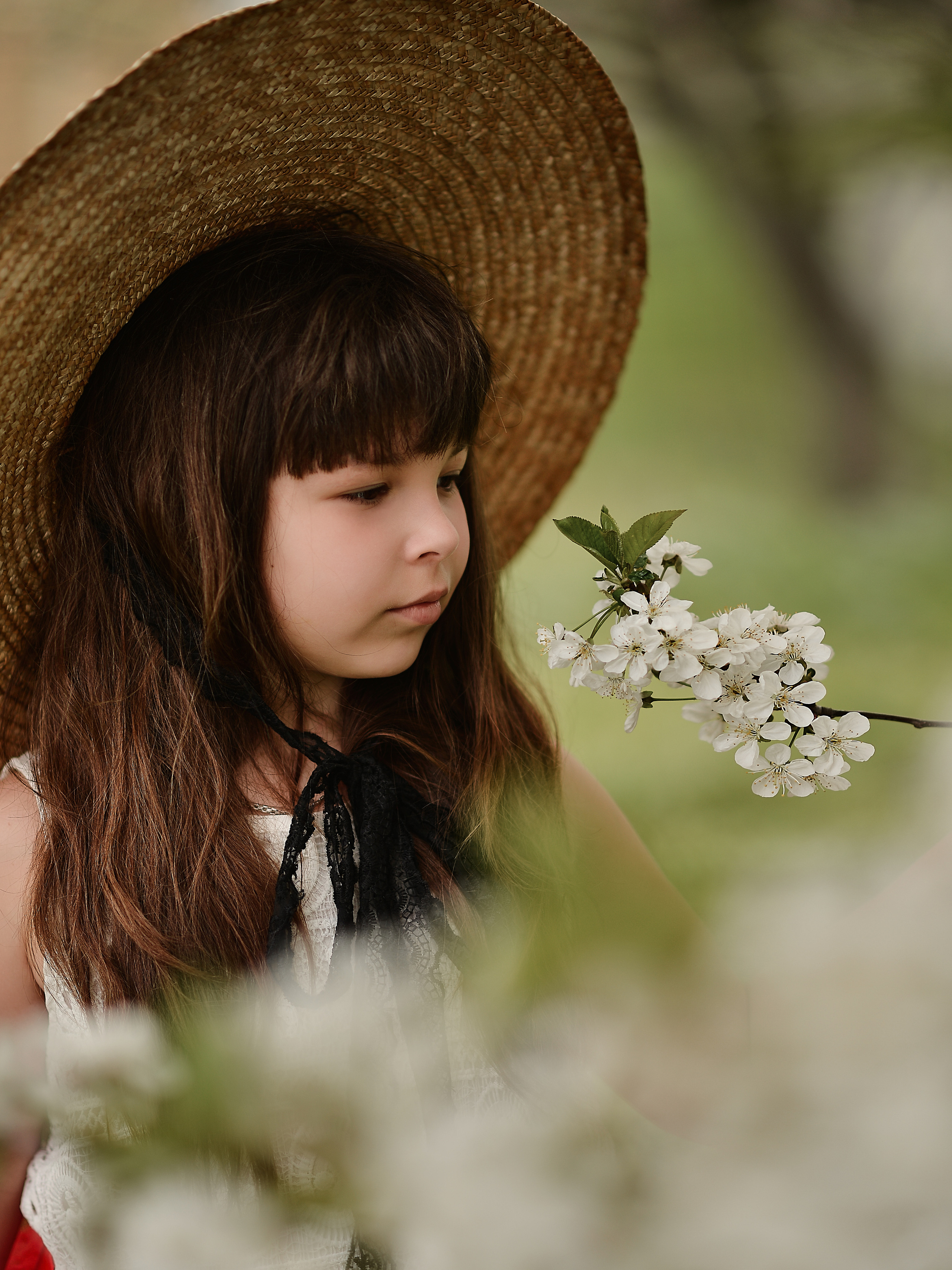 Тюльпанная история. Фотограф Натали Кошевая _ Днепр, Подгородное