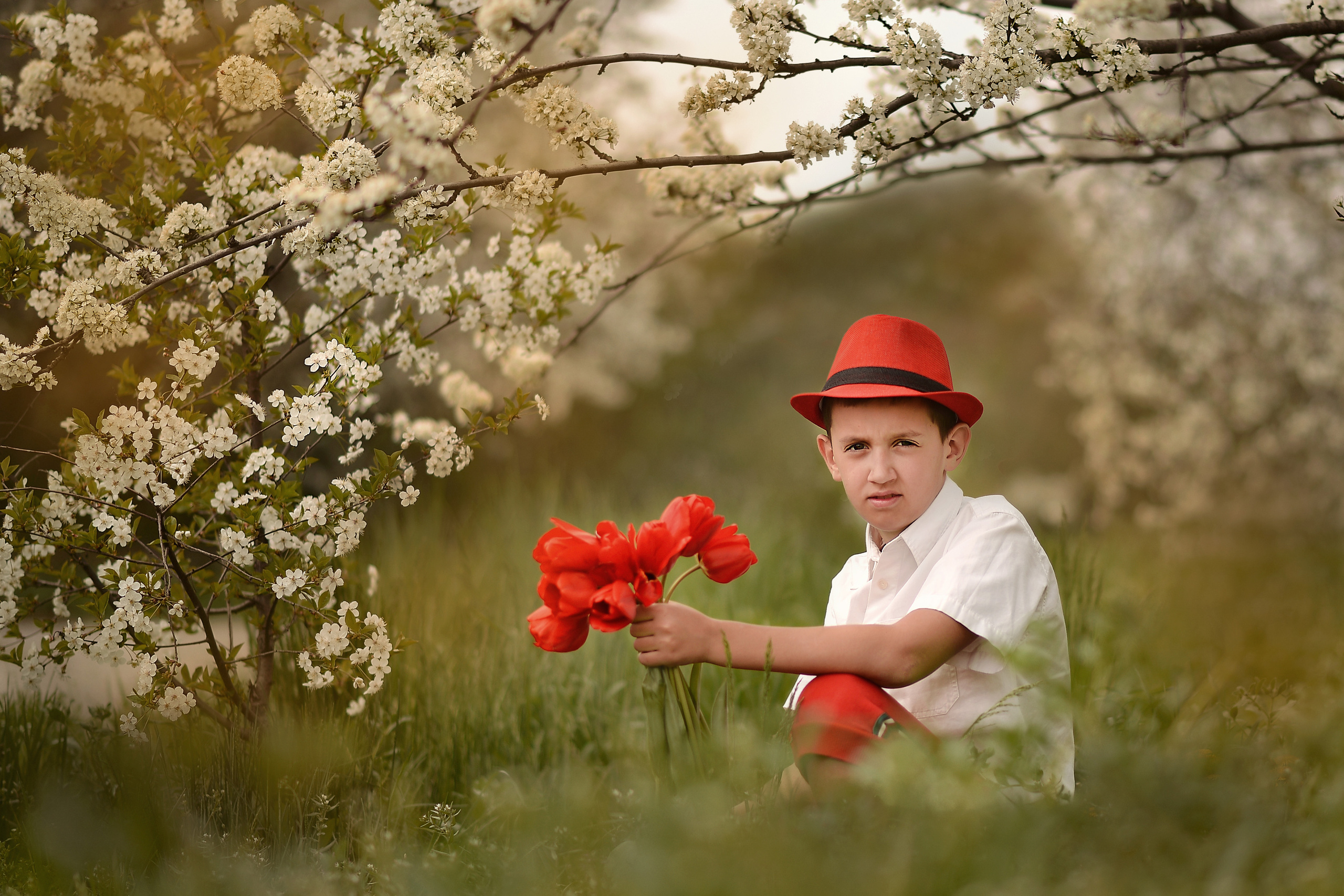 Тюльпанное настроение. Фотограф Натали Кошевая _ Днепр, Подгородное