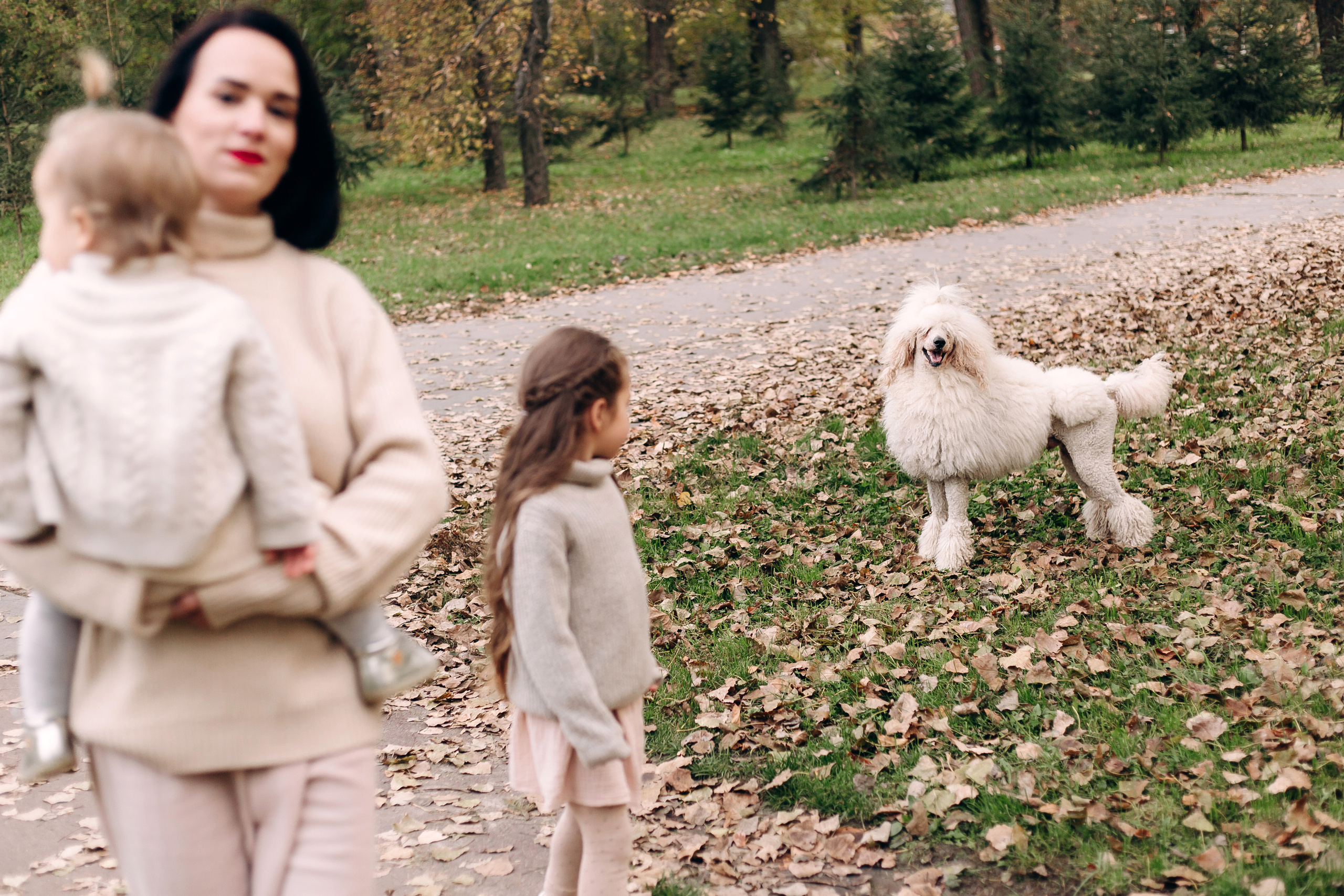 Осiння. Весільний та сімейний фотограф міста Суми Артур Моргун