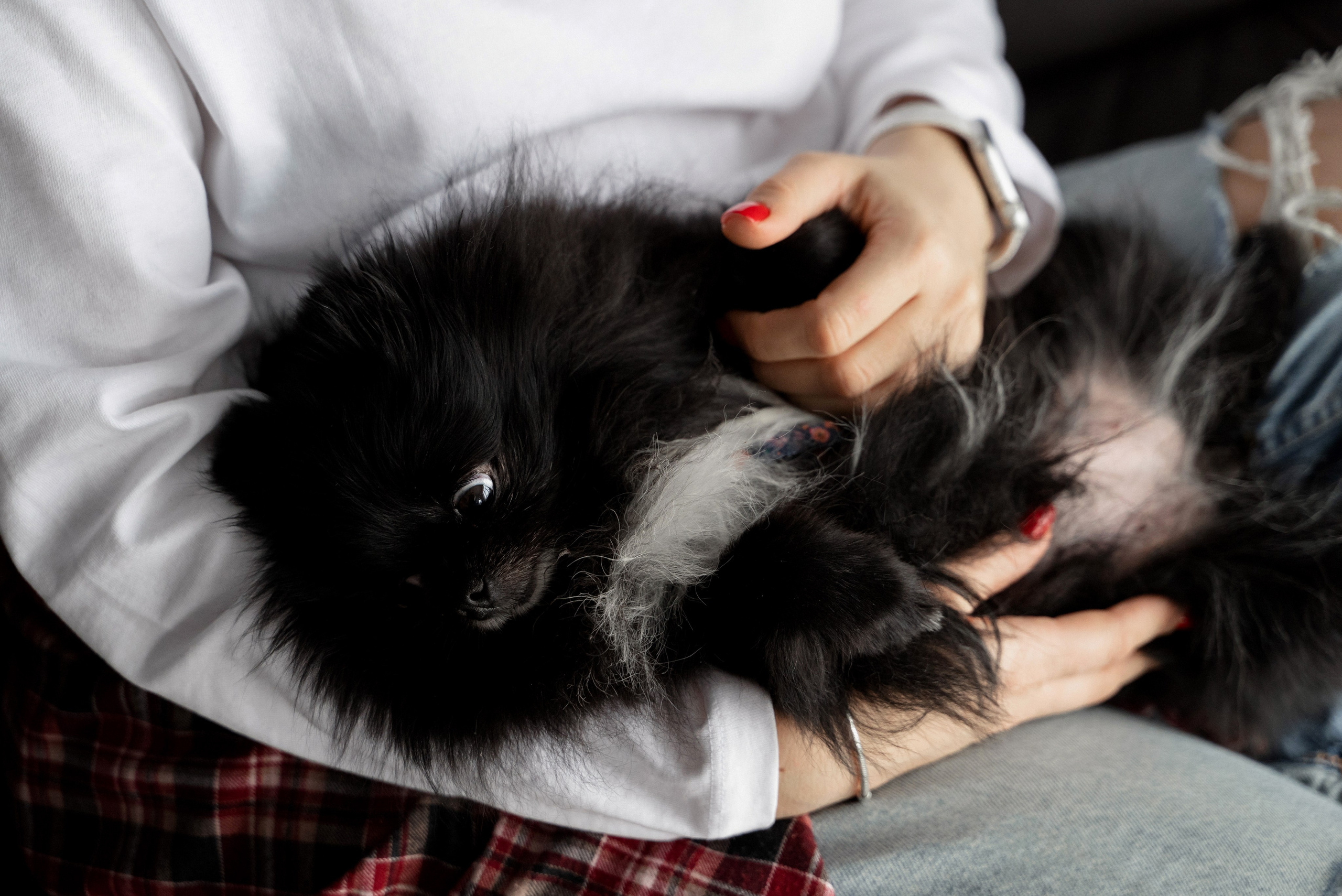 Сімейна. Весільний та сімейний фотограф міста Суми Артур Моргун