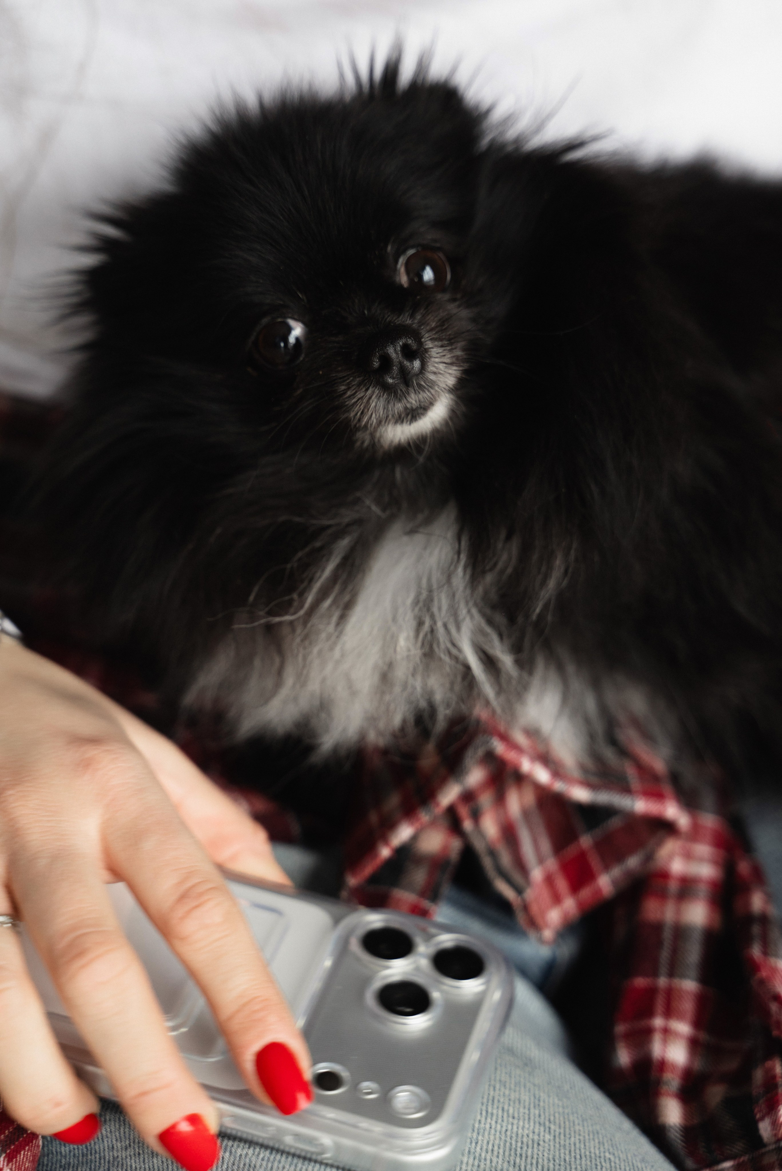 Сімейна. Весільний та сімейний фотограф міста Суми Артур Моргун