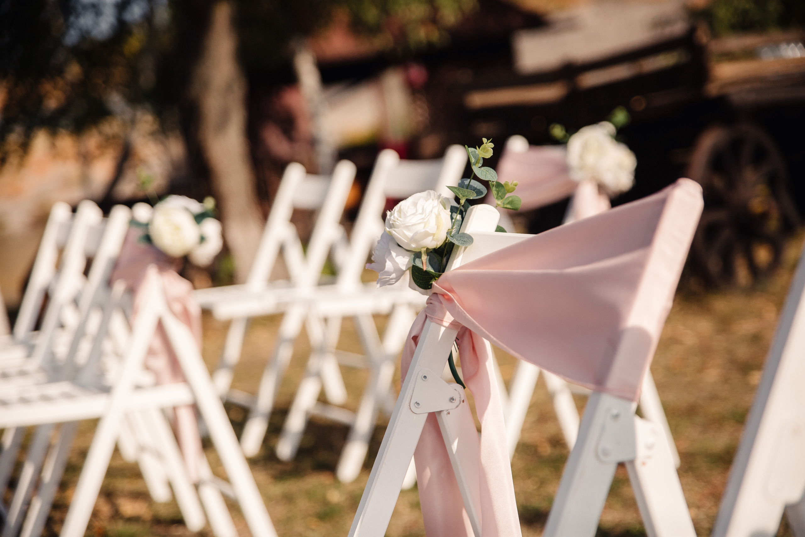 Олексій та Анна. Весільний та сімейний фотограф міста Суми Артур Моргун
