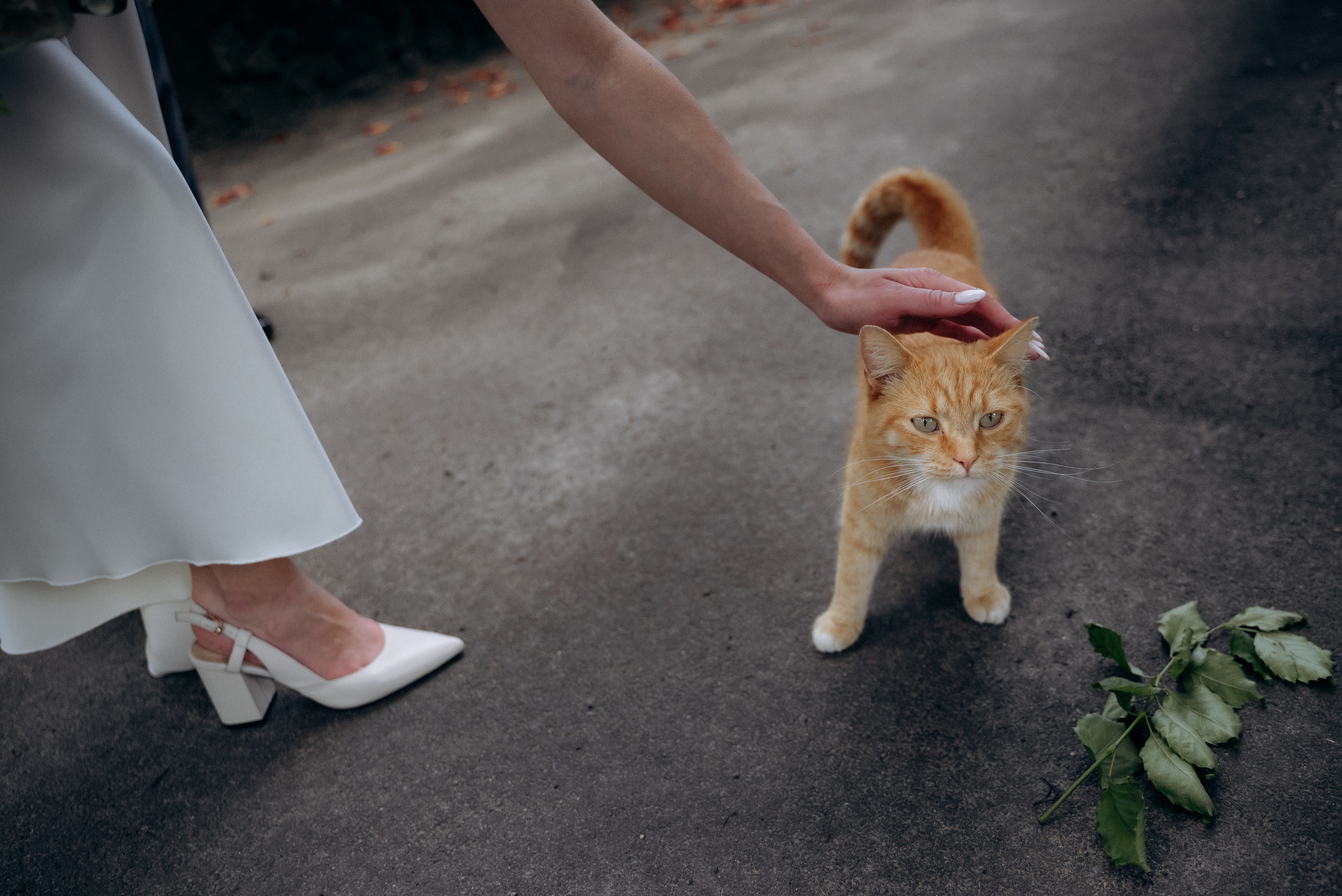 Сергiй та Наталя. Весільний та сімейний фотограф міста Суми Артур Моргун