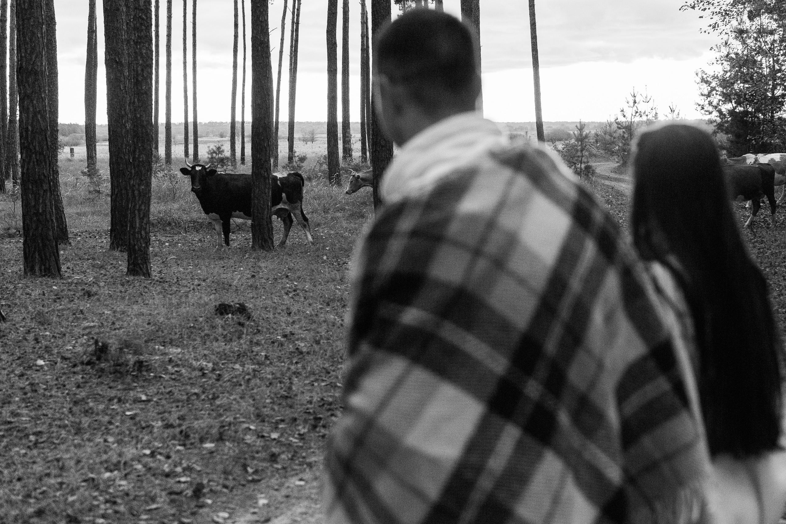 Богдан та Оля. Весільний та сімейний фотограф міста Суми Артур Моргун