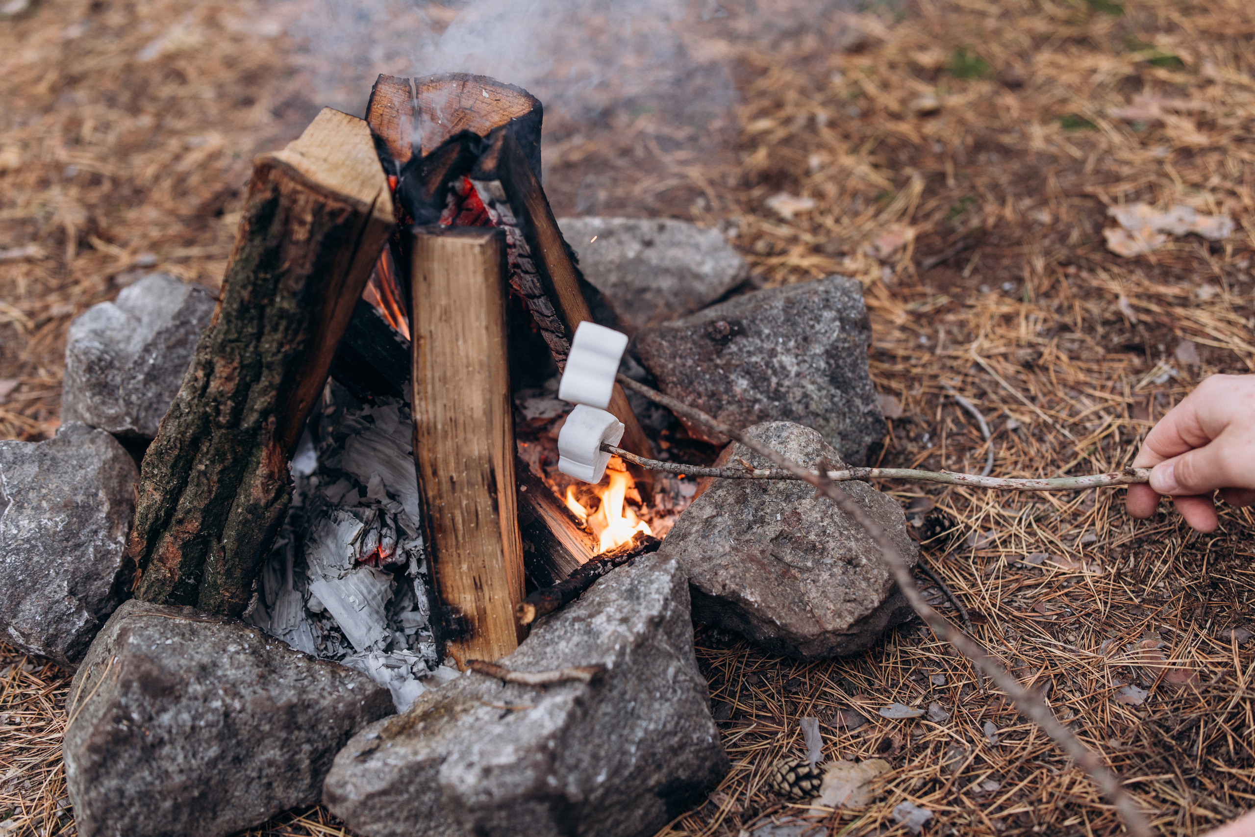 Богдан та Оля. Весільний та сімейний фотограф міста Суми Артур Моргун