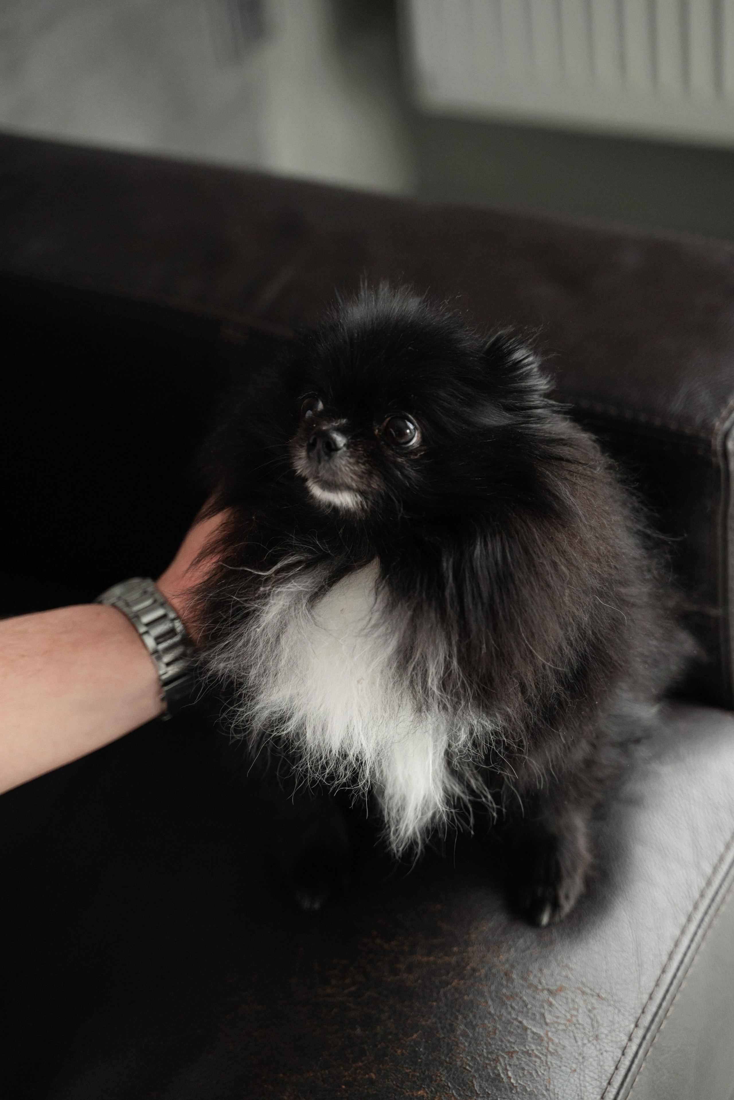 Сімейна. Весільний та сімейний фотограф міста Суми Артур Моргун