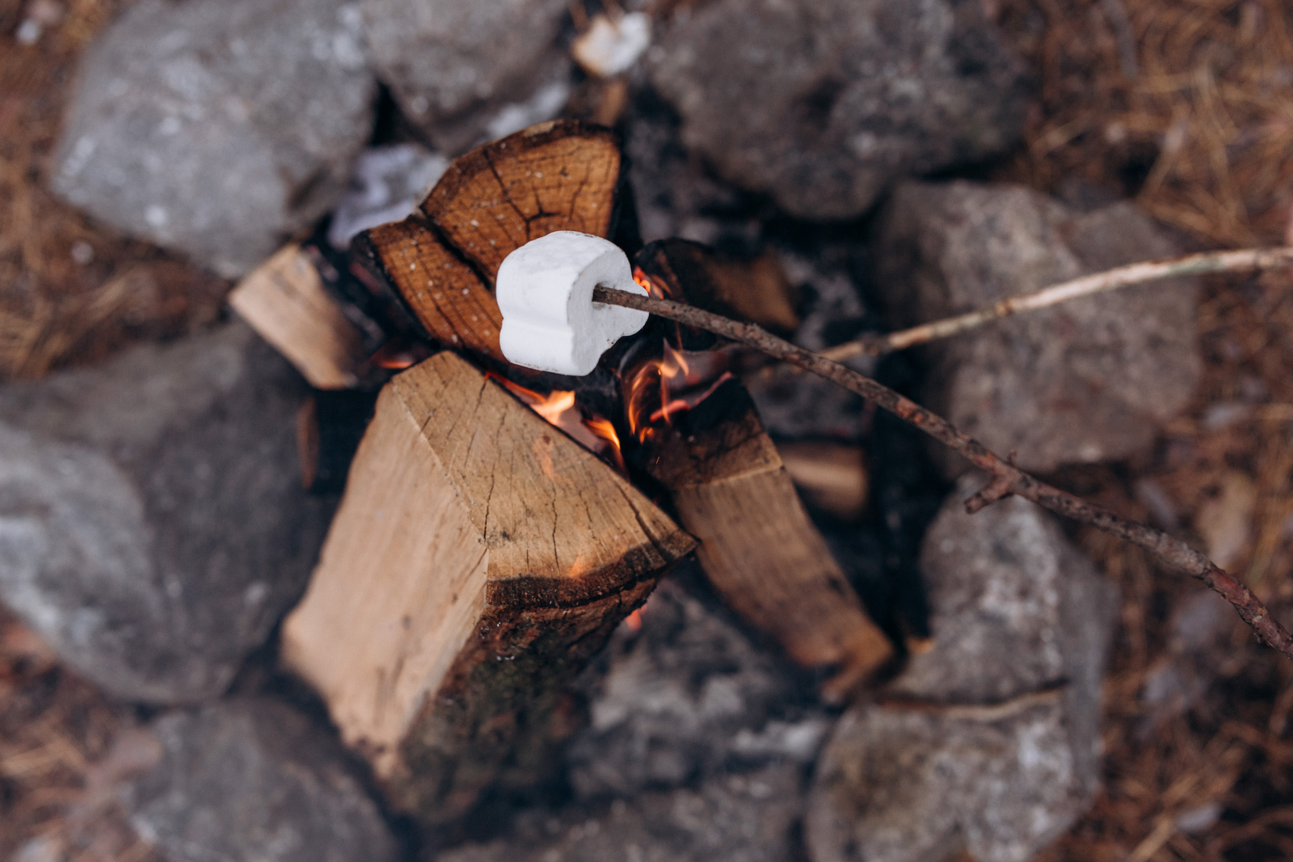 Богдан та Оля. Весільний та сімейний фотограф міста Суми Артур Моргун