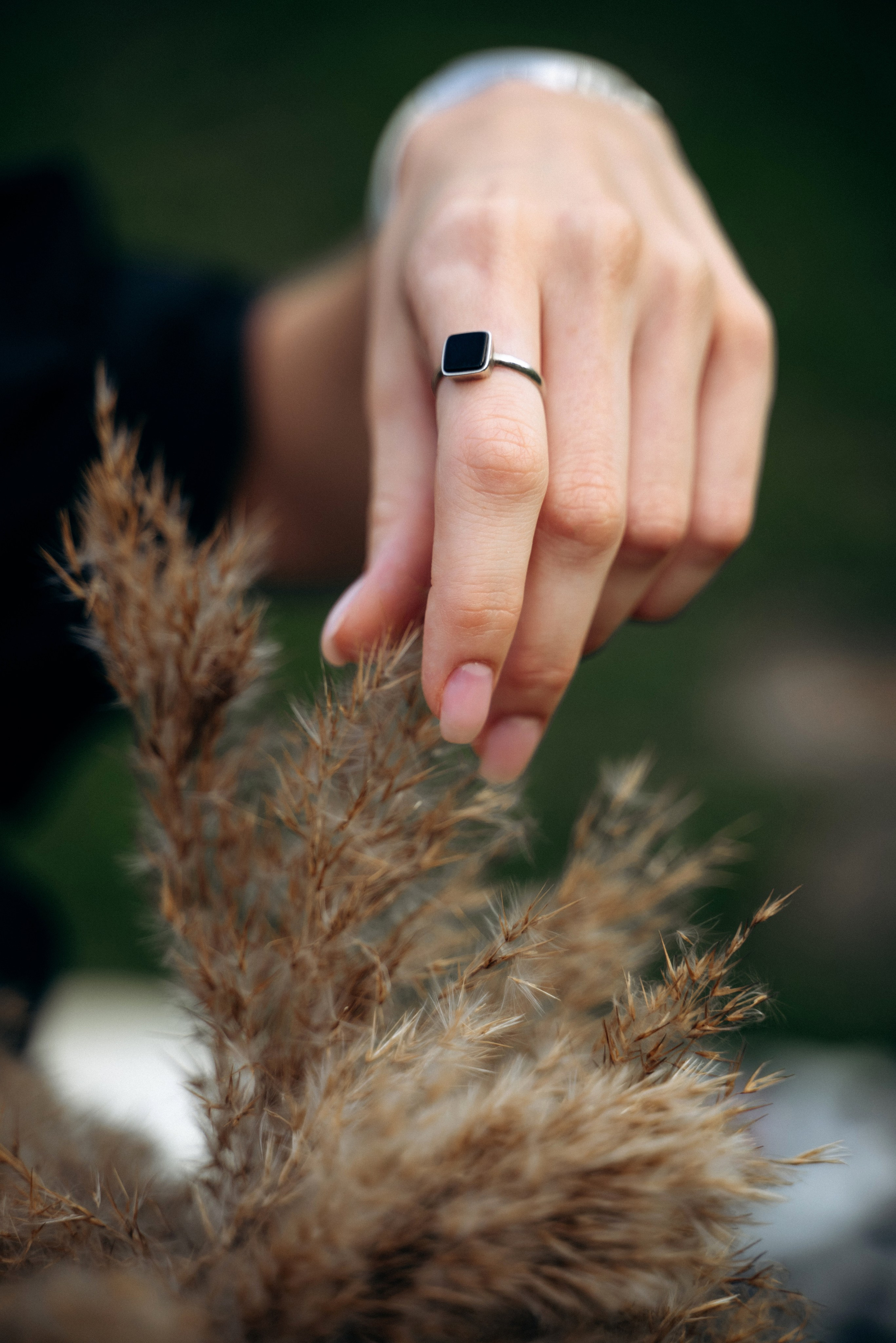 Алiна та Iван. Весільний та сімейний фотограф міста Суми Артур Моргун