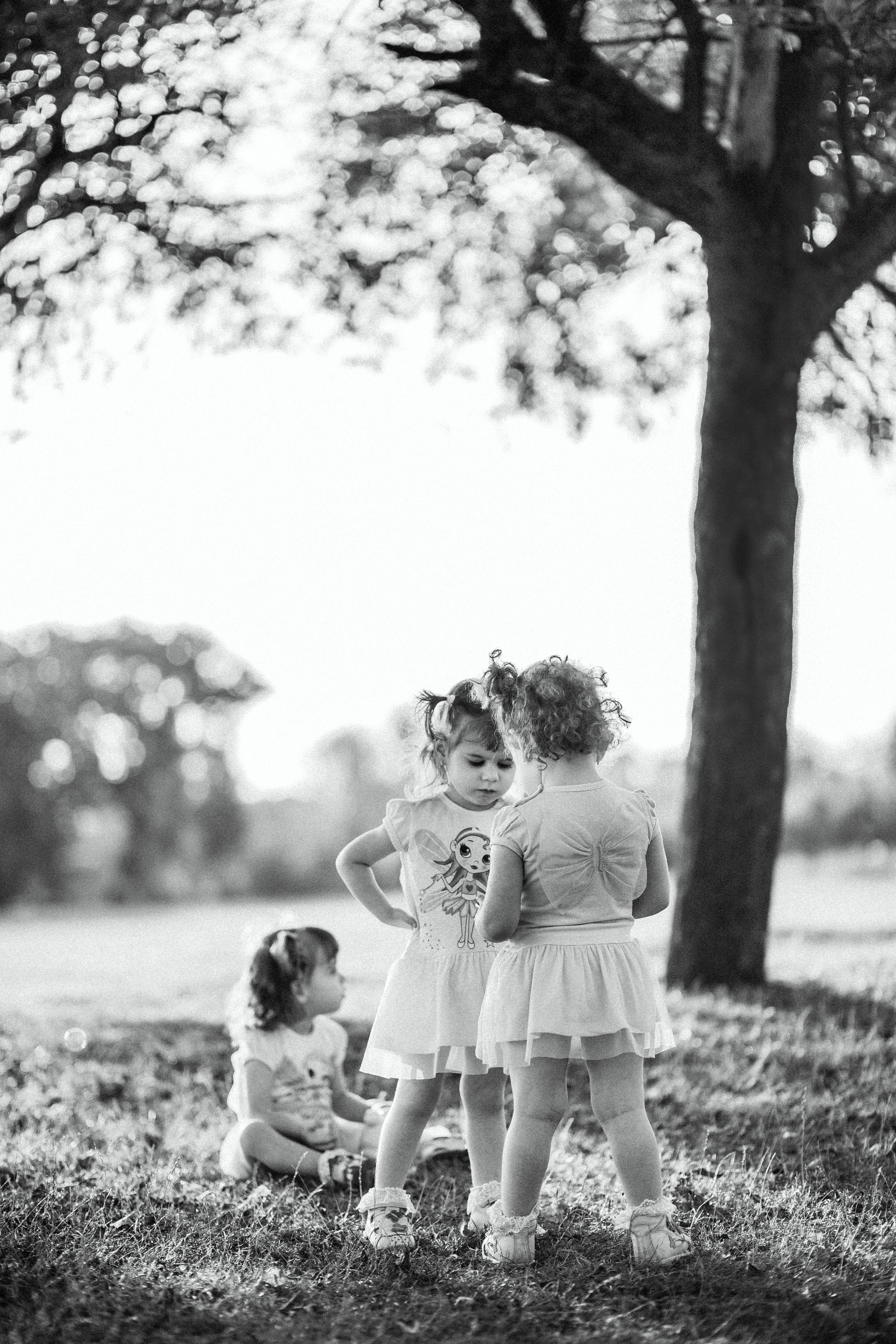 Трійня. Весільний та сімейний фотограф міста Суми Артур Моргун