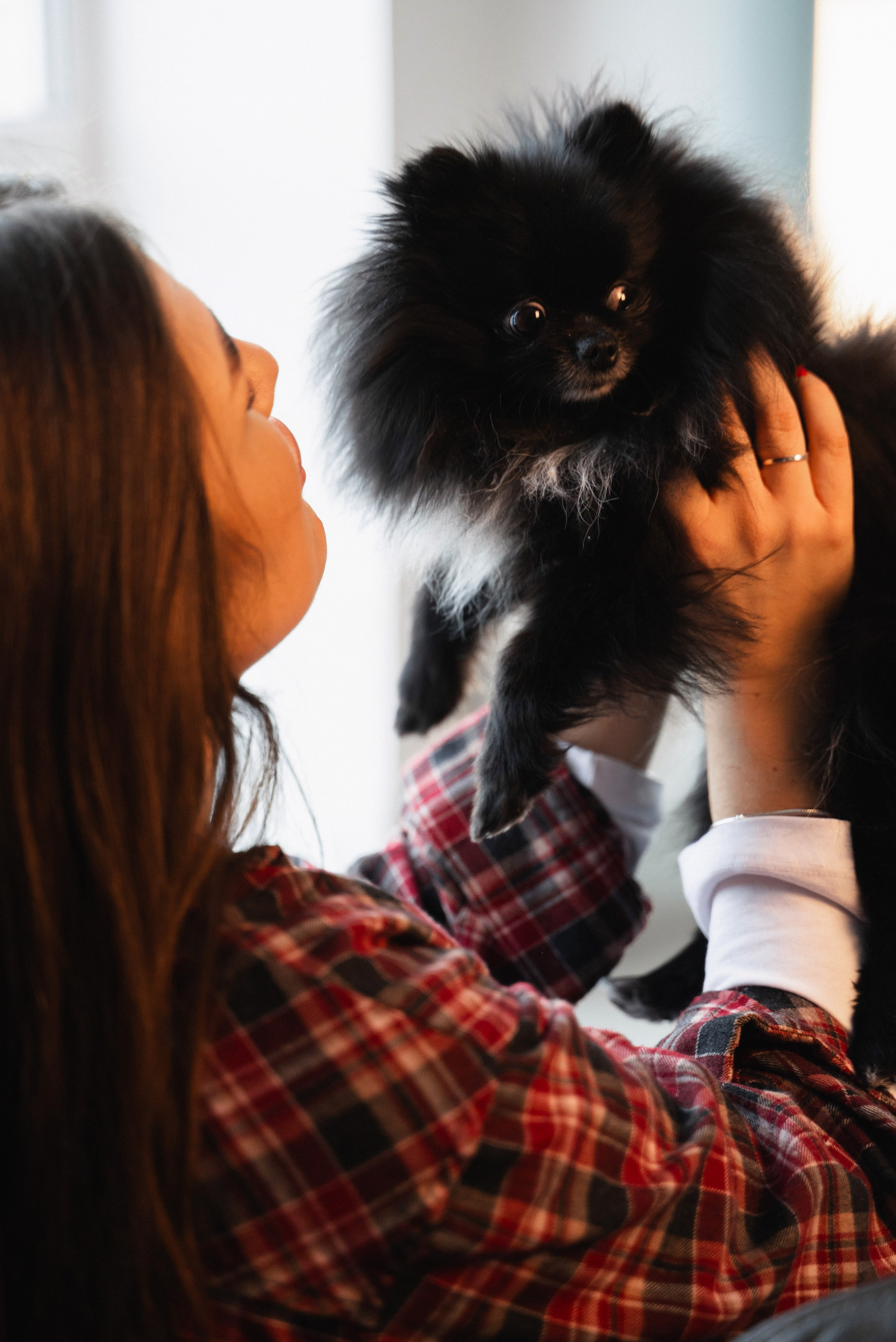 Сімейна. Весільний та сімейний фотограф міста Суми Артур Моргун