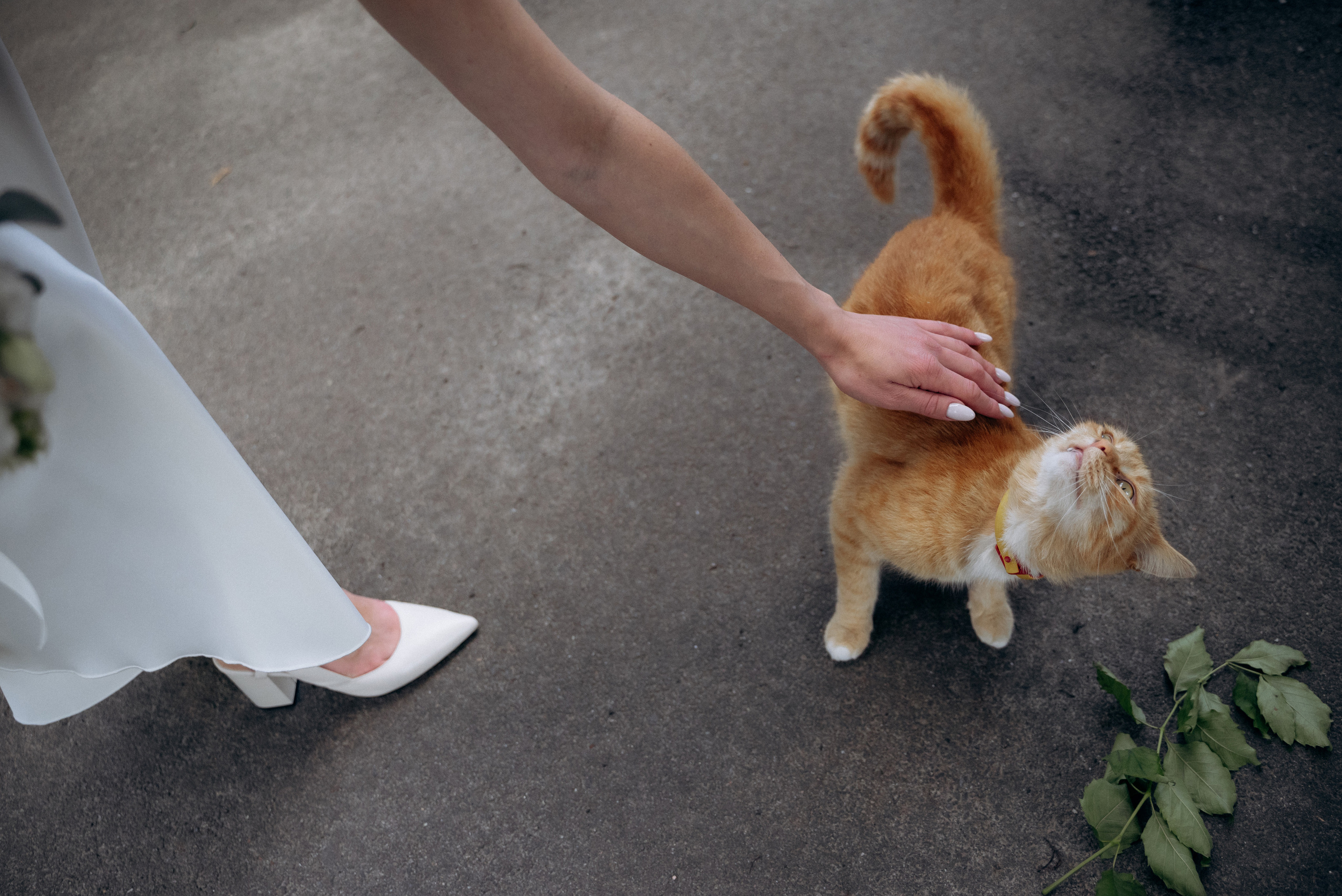 Сергiй та Наталя. Весільний та сімейний фотограф міста Суми Артур Моргун