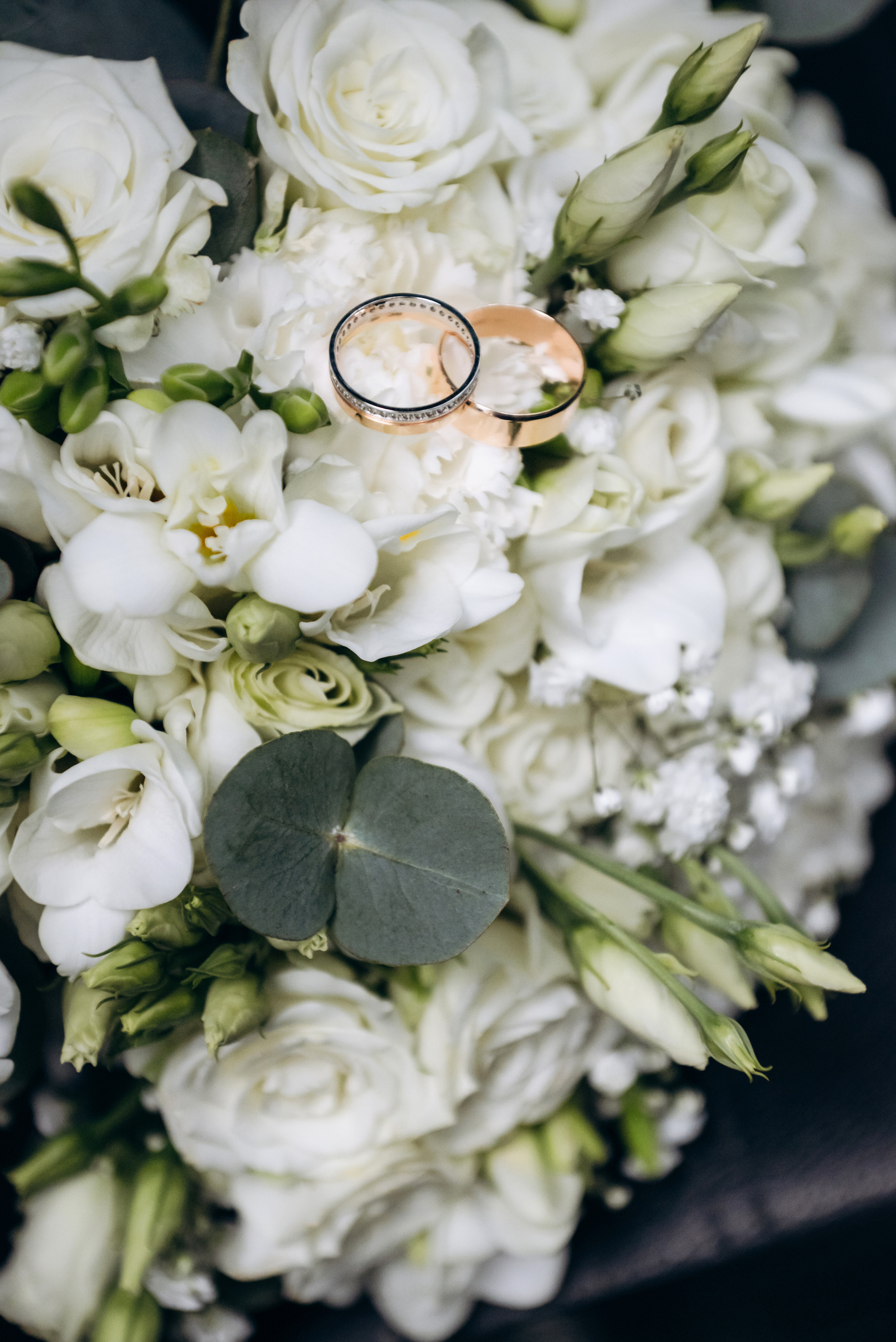 Олександр та Марина. Весільний та сімейний фотограф міста Суми Артур Моргун