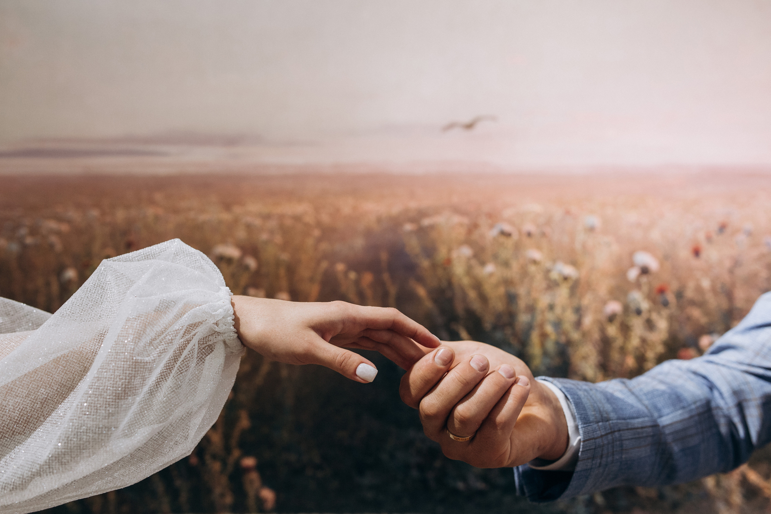 Олег та Олена. Весільний та сімейний фотограф міста Суми Артур Моргун