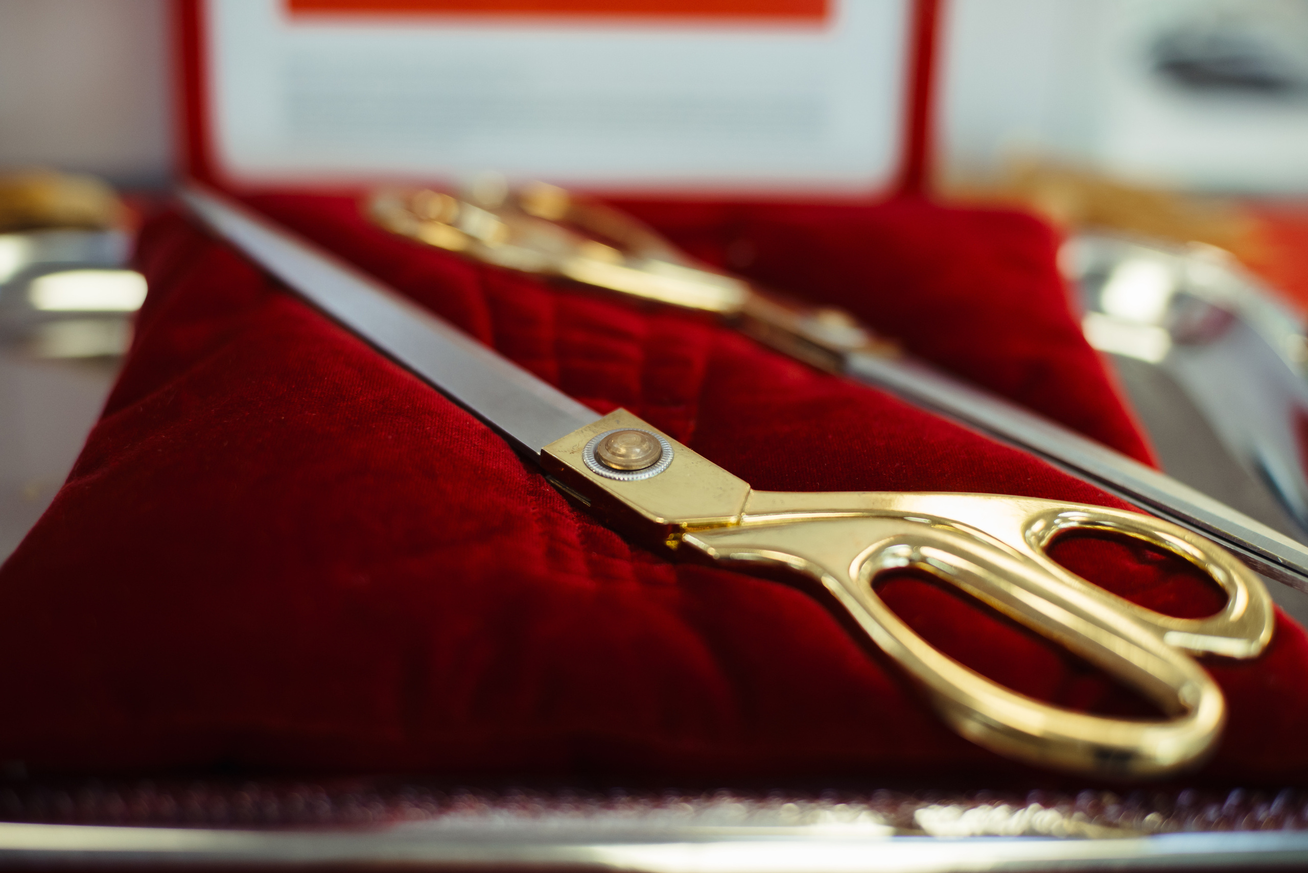 Івенти. Фотограф Київ Дніпро Запоріжжя Нікополь Олександрія Кривий ріг Покров