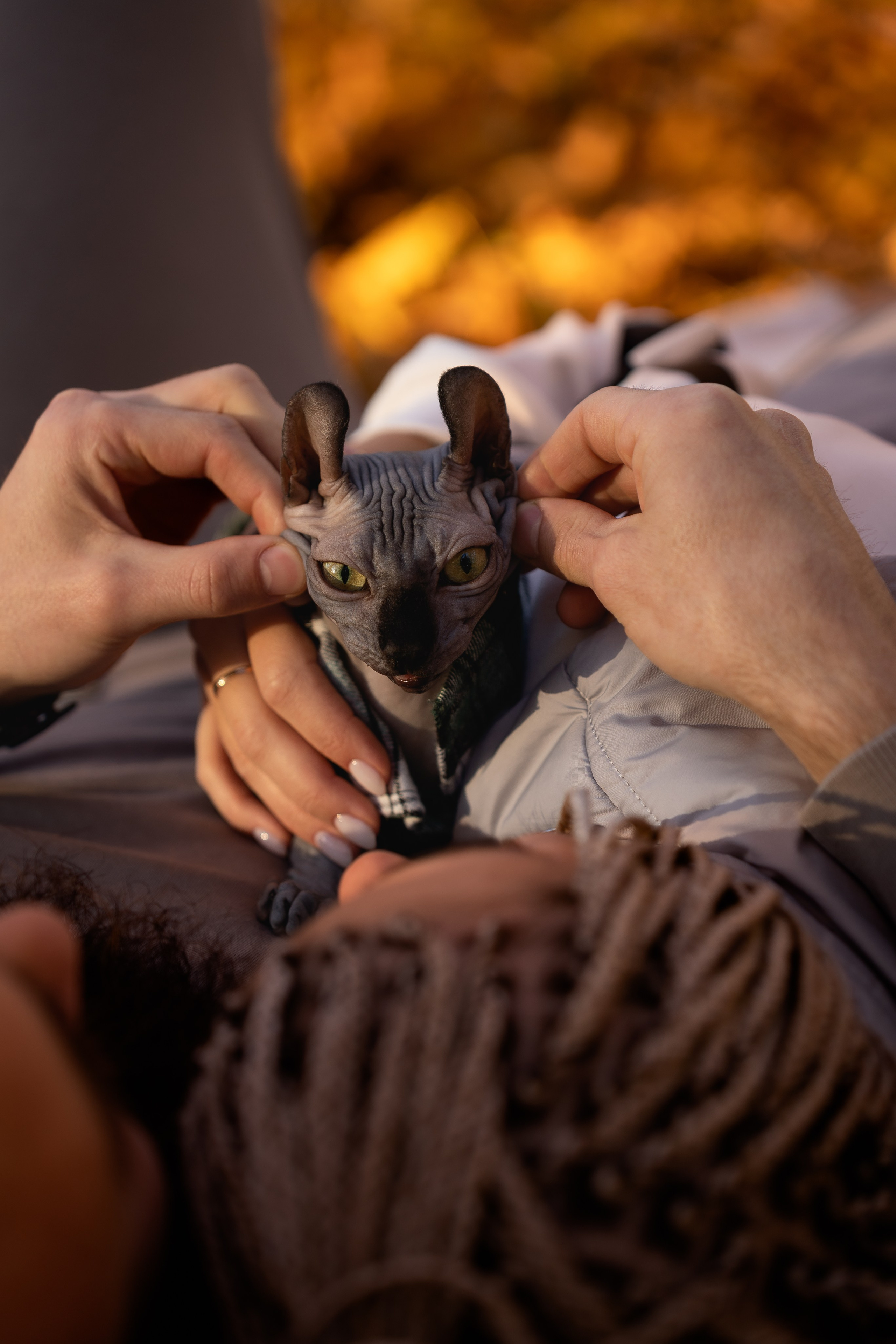 Couple. Portrait Photographer