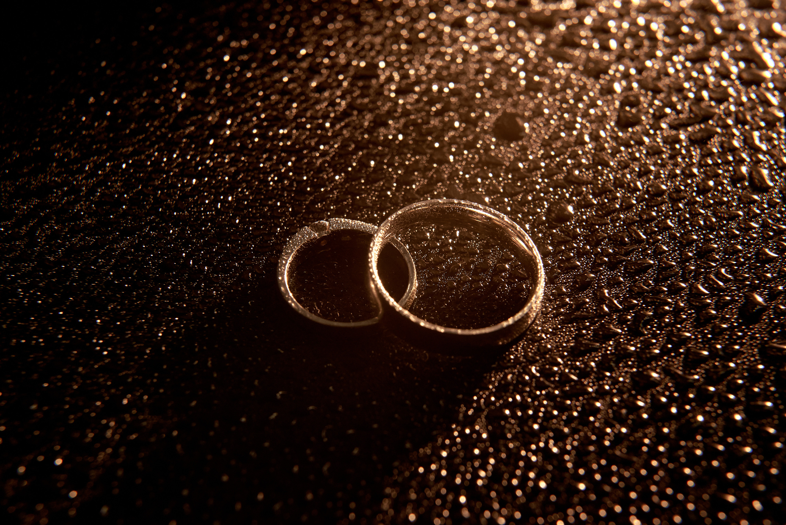 Wedding Photographer Vienna, Bratislava, Europe | Elegant, Timeless, Emotional